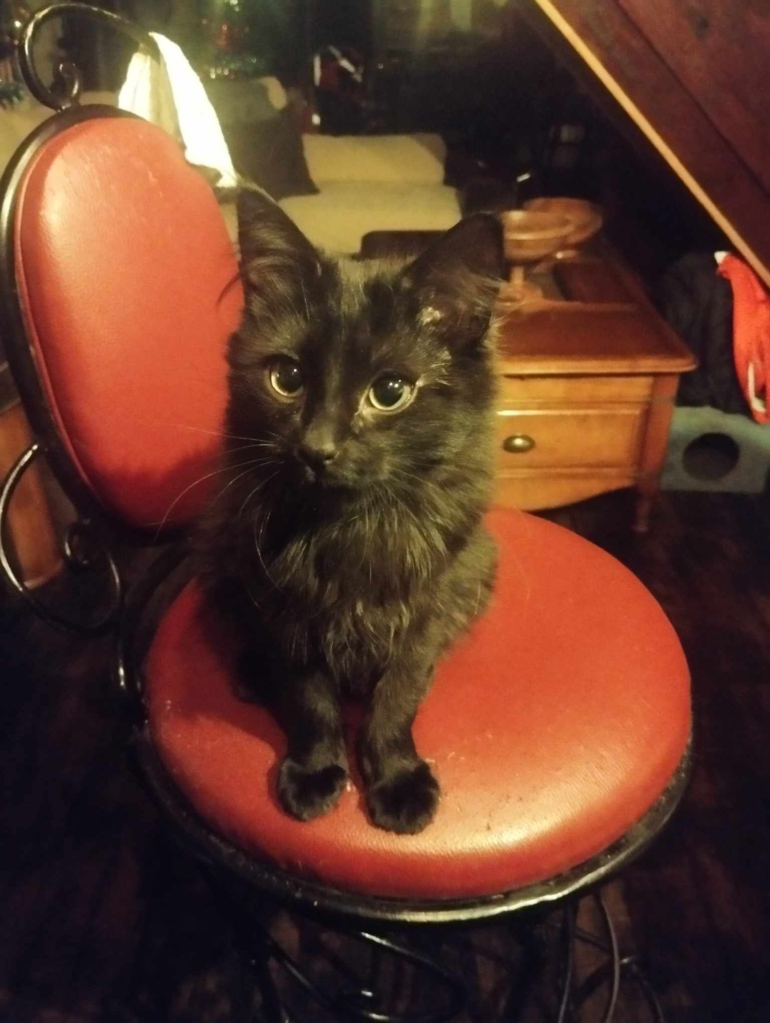 Styx - 1 Rue Hent d'an Traon, Laz