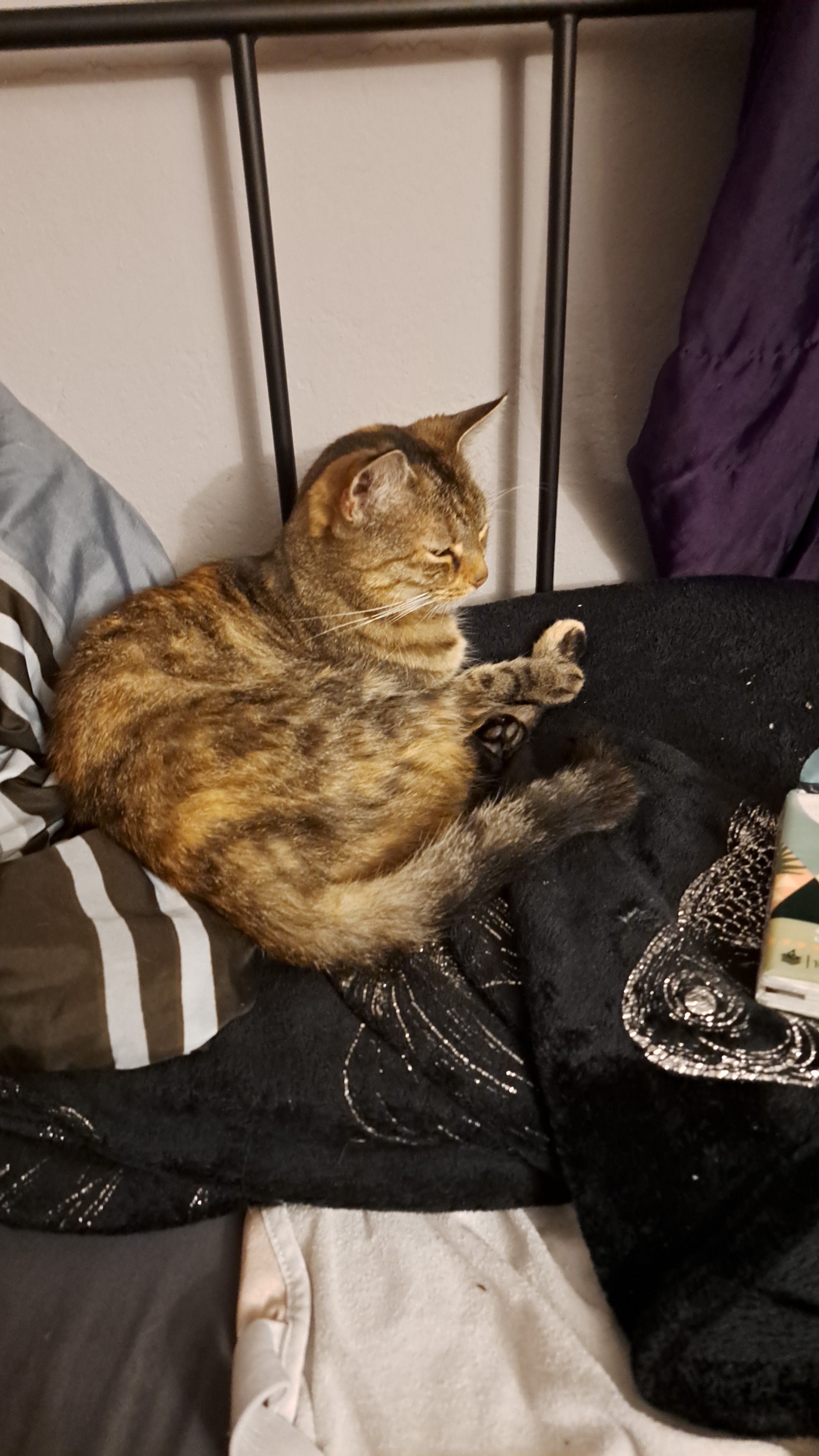 Mia - Marktplatz, Perlesreut