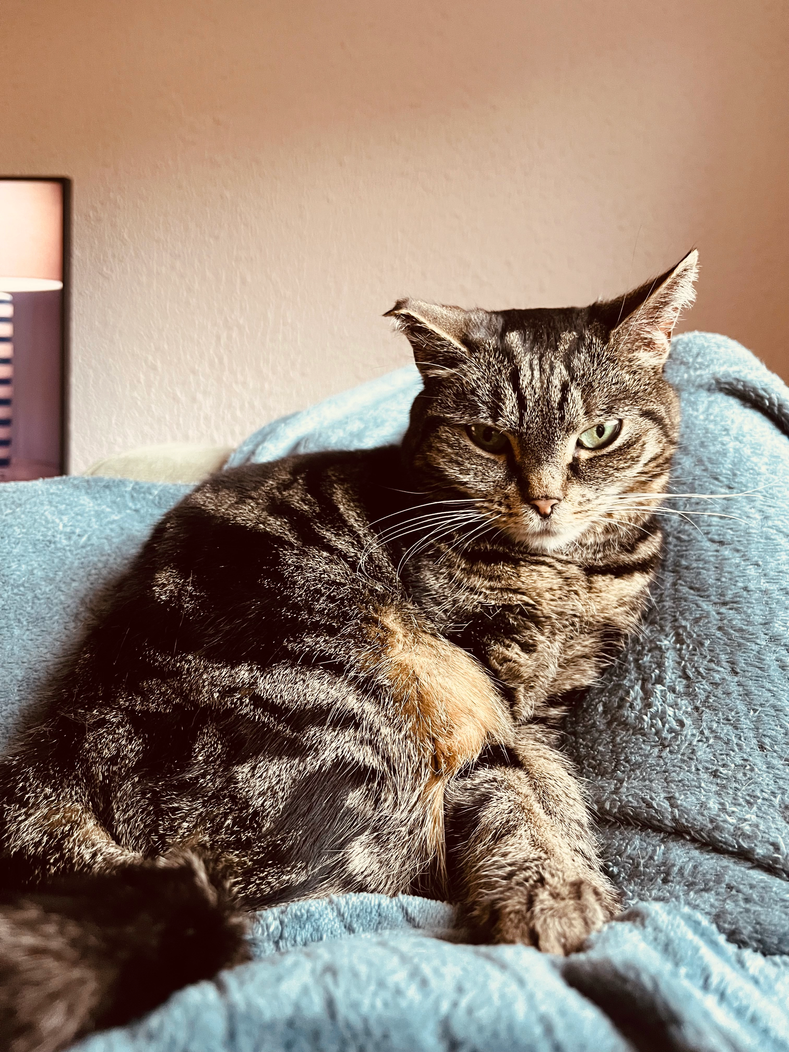 Greta - Nassaustraat, Kerkrade