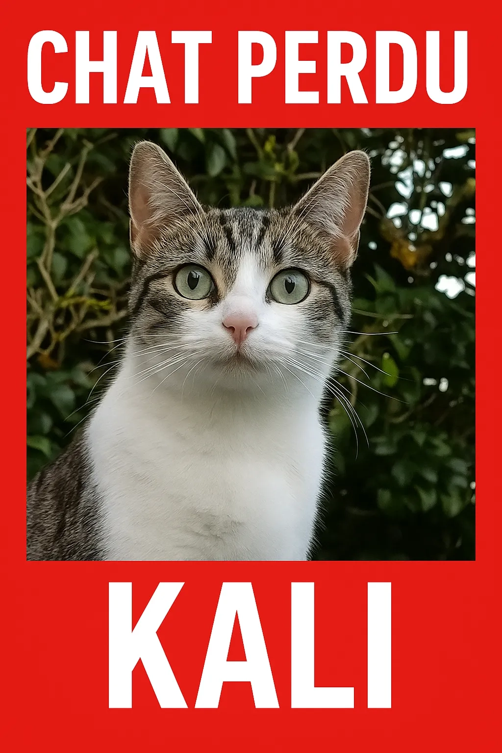 Kali - Rue Mauléon, Castelnaudary