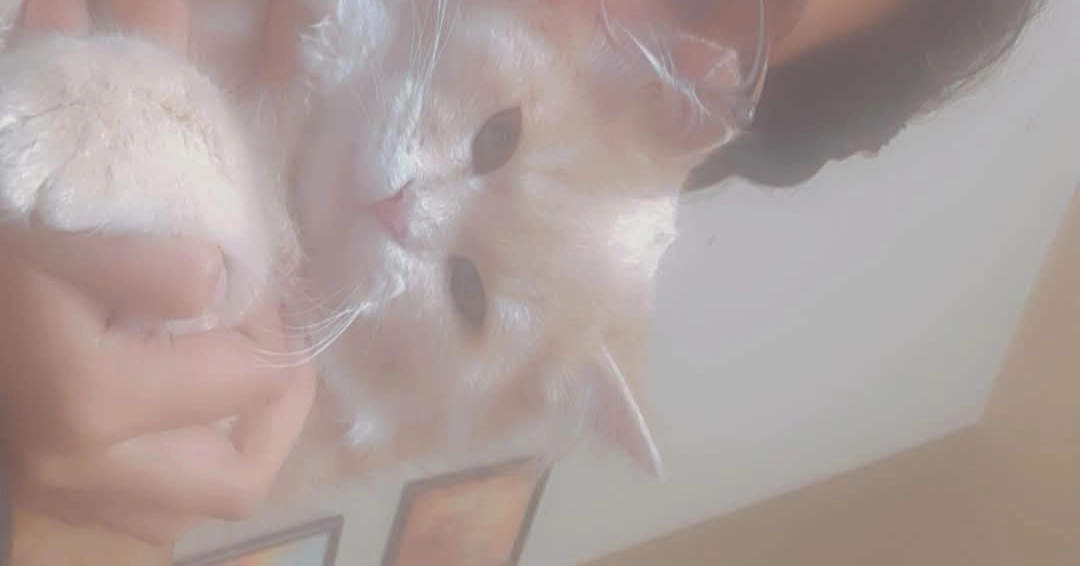 goldie - Narian, Abbottabad