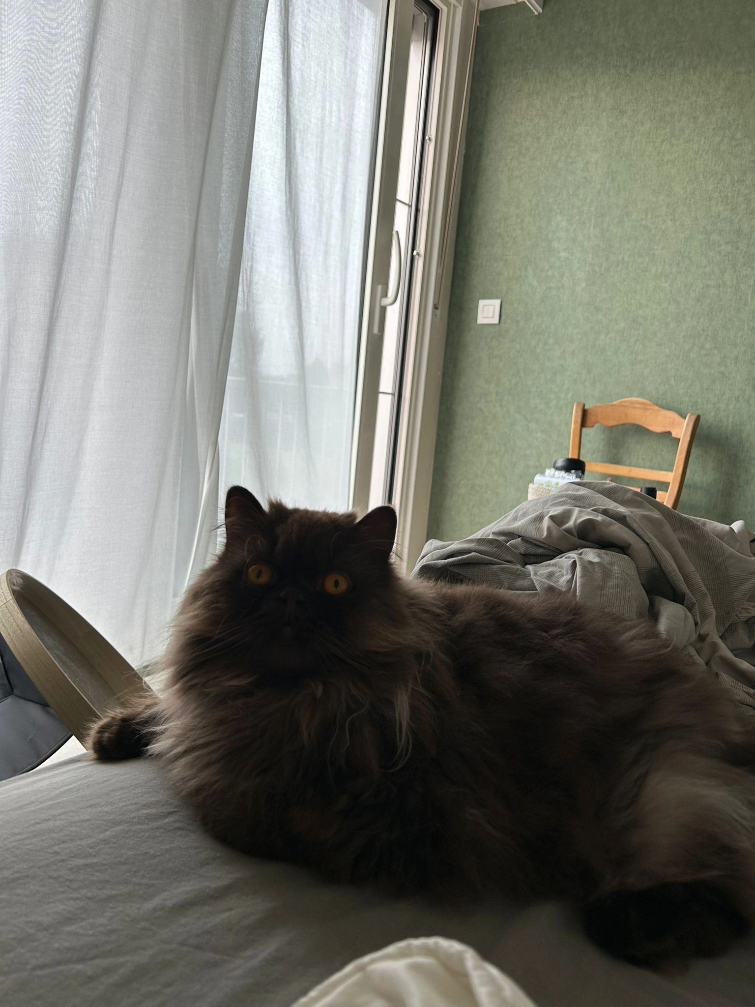 Boris - Lijsterbeslaan, Stabroek