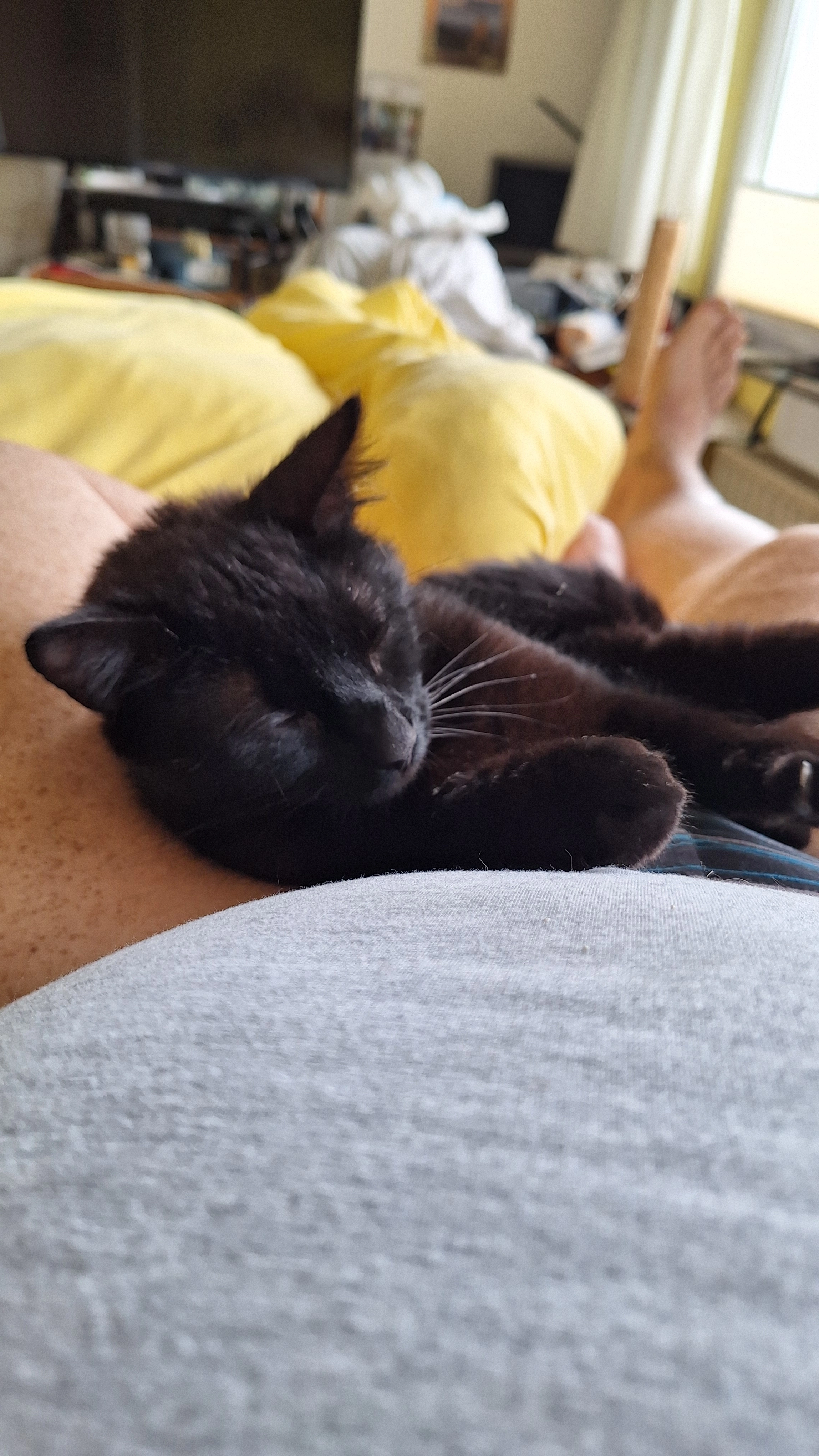 Mausi - Maschweg, Peine