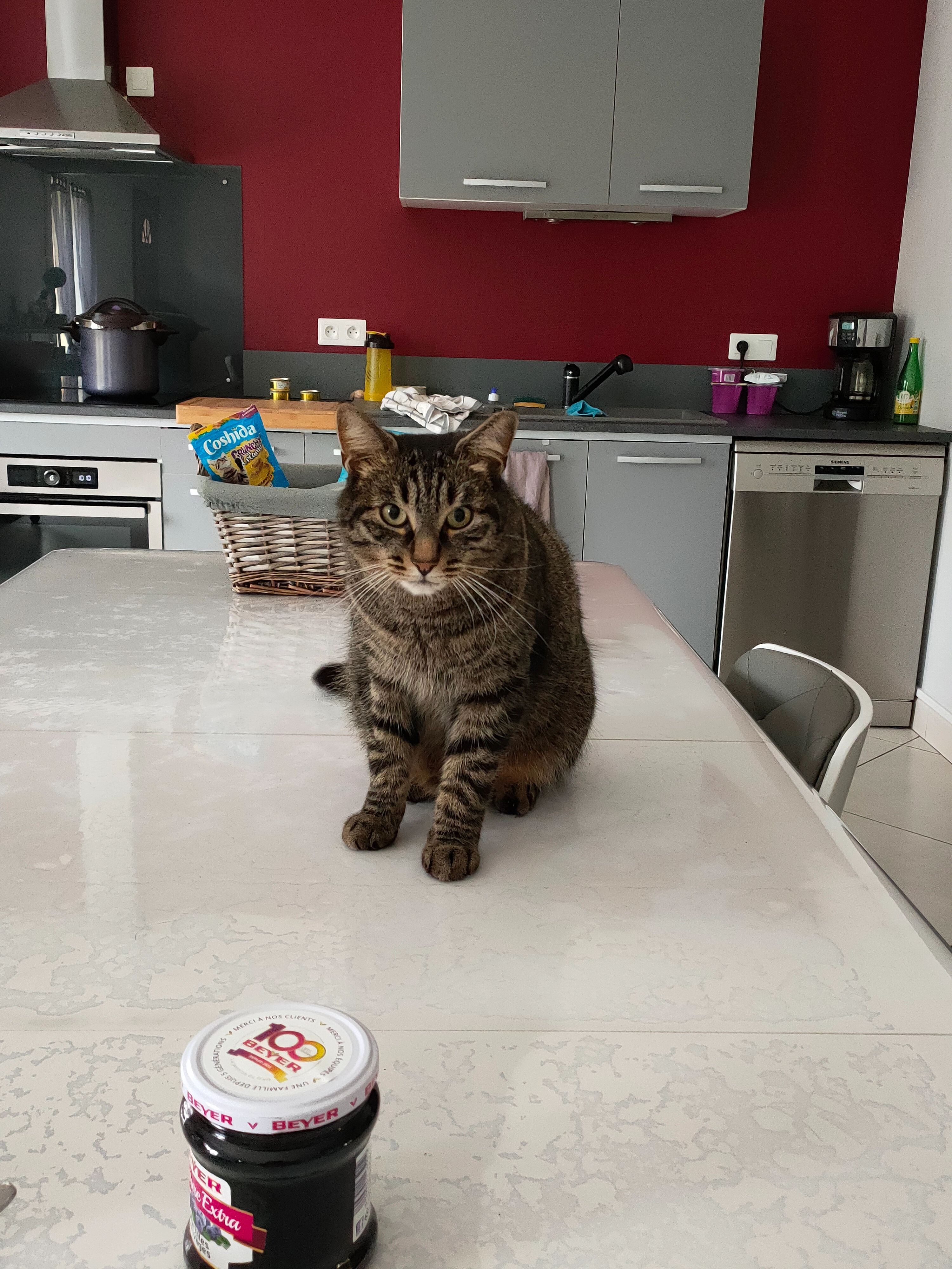 Gribouille  - Rue Des Peupliers, Velet