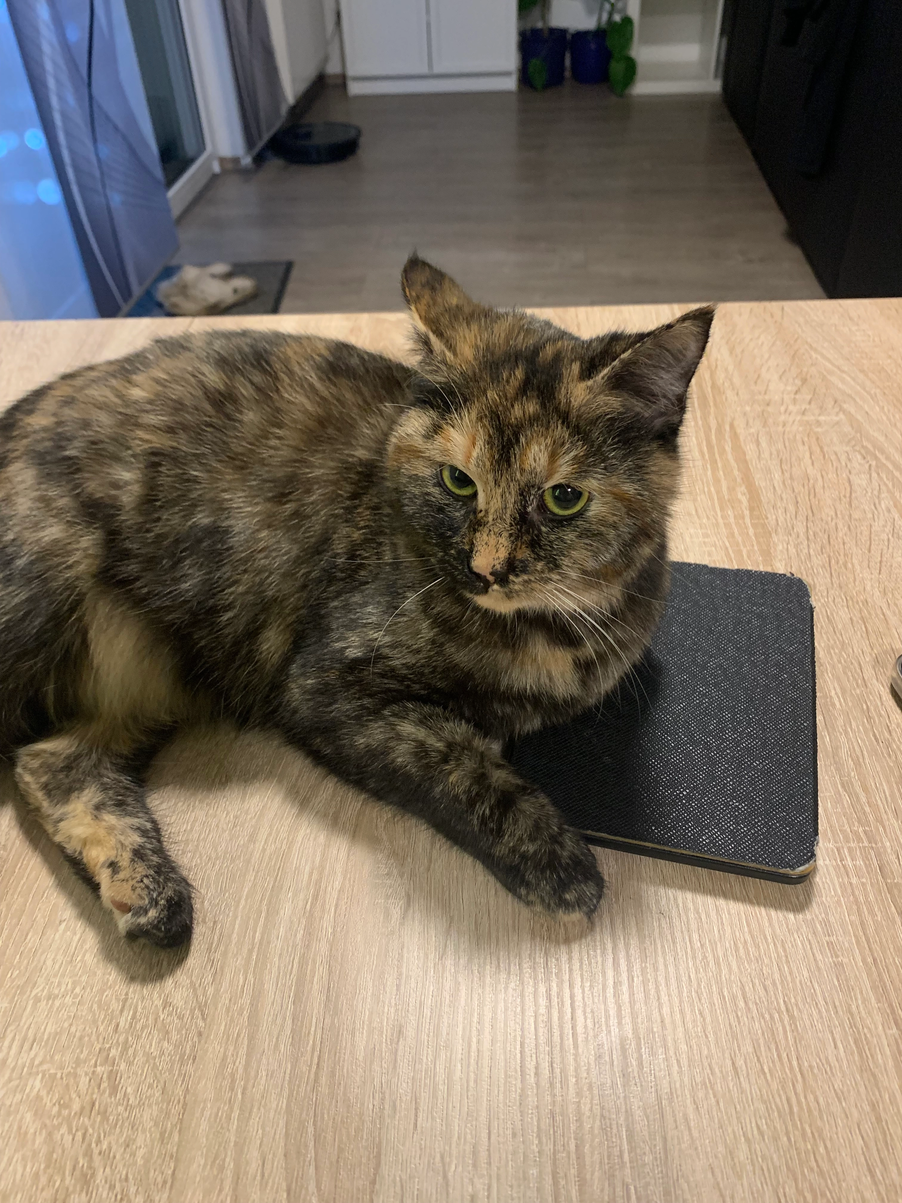 Tokio - Straße 103, Berlin