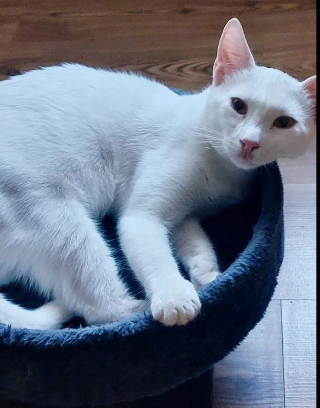 Loof - Stieglberg, Wolnzach