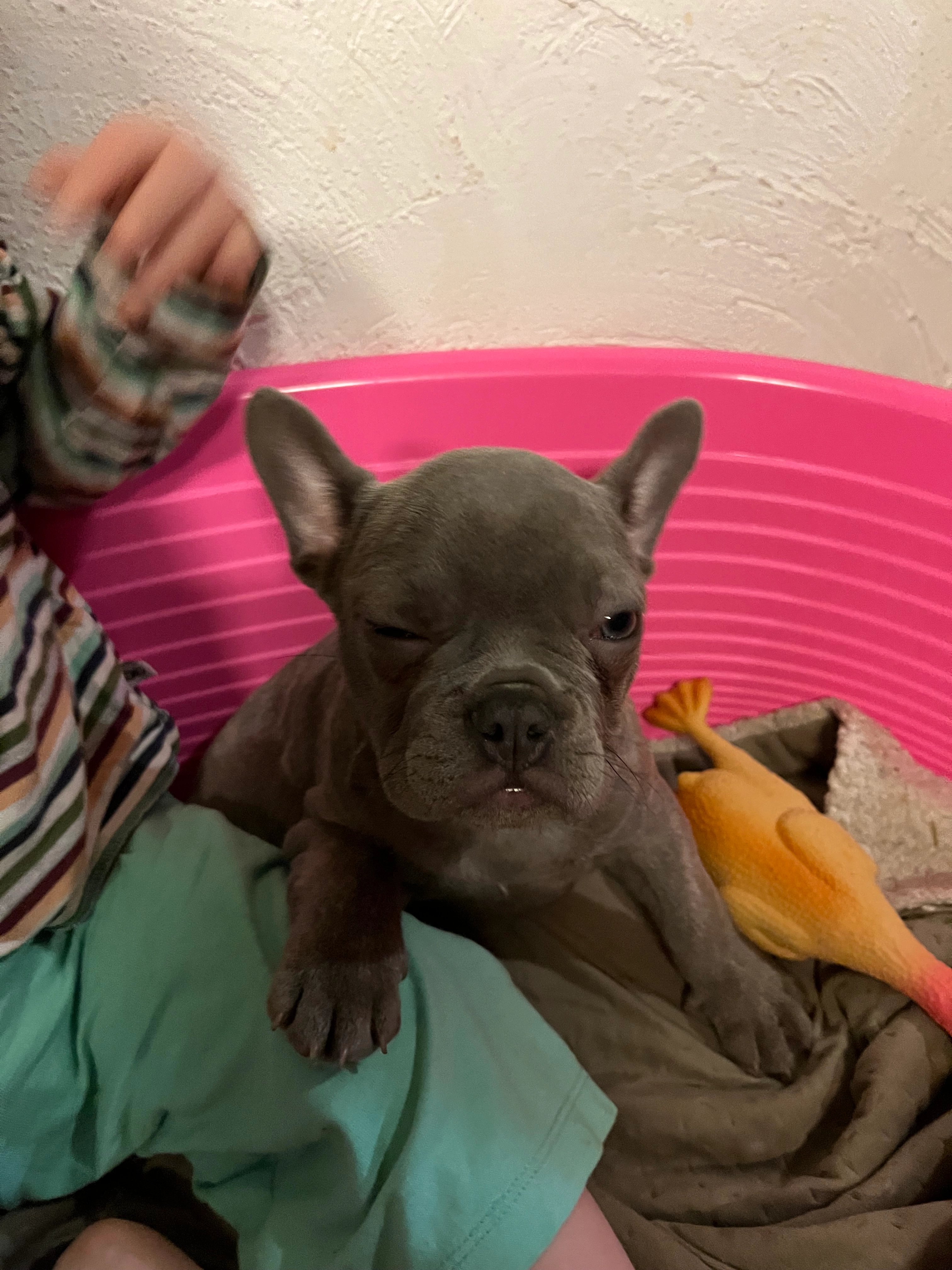 Odette - Arkemolenstraat, Wervik