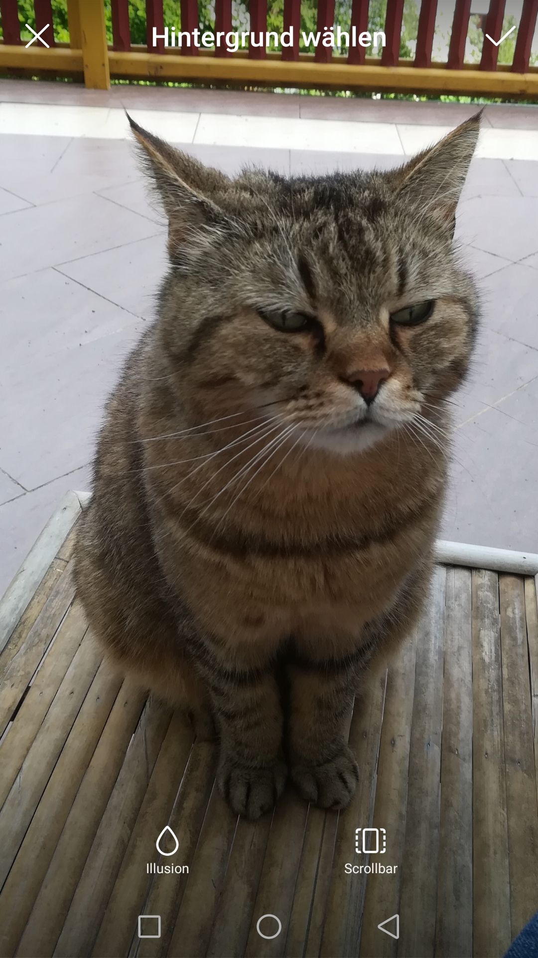 Murli - Prägrad, Feldkirchen in Kärnten