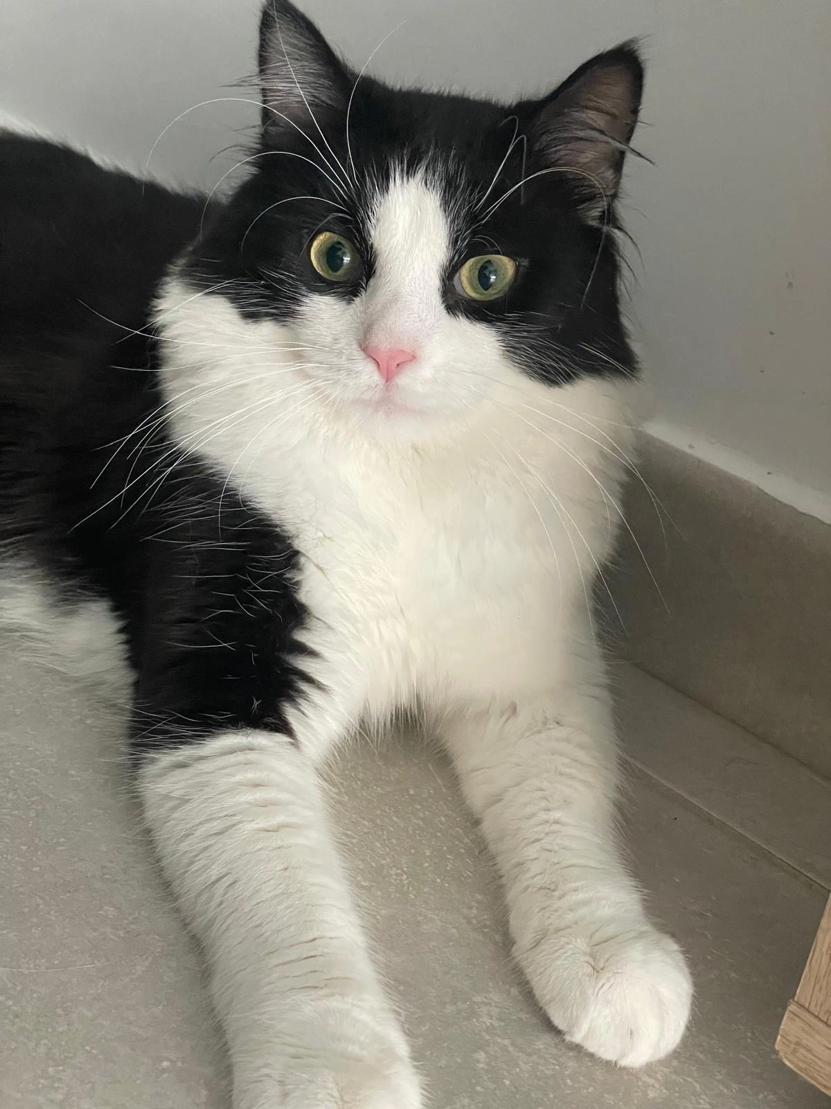 Aychek - Route De L’Aérodrome, Avignon