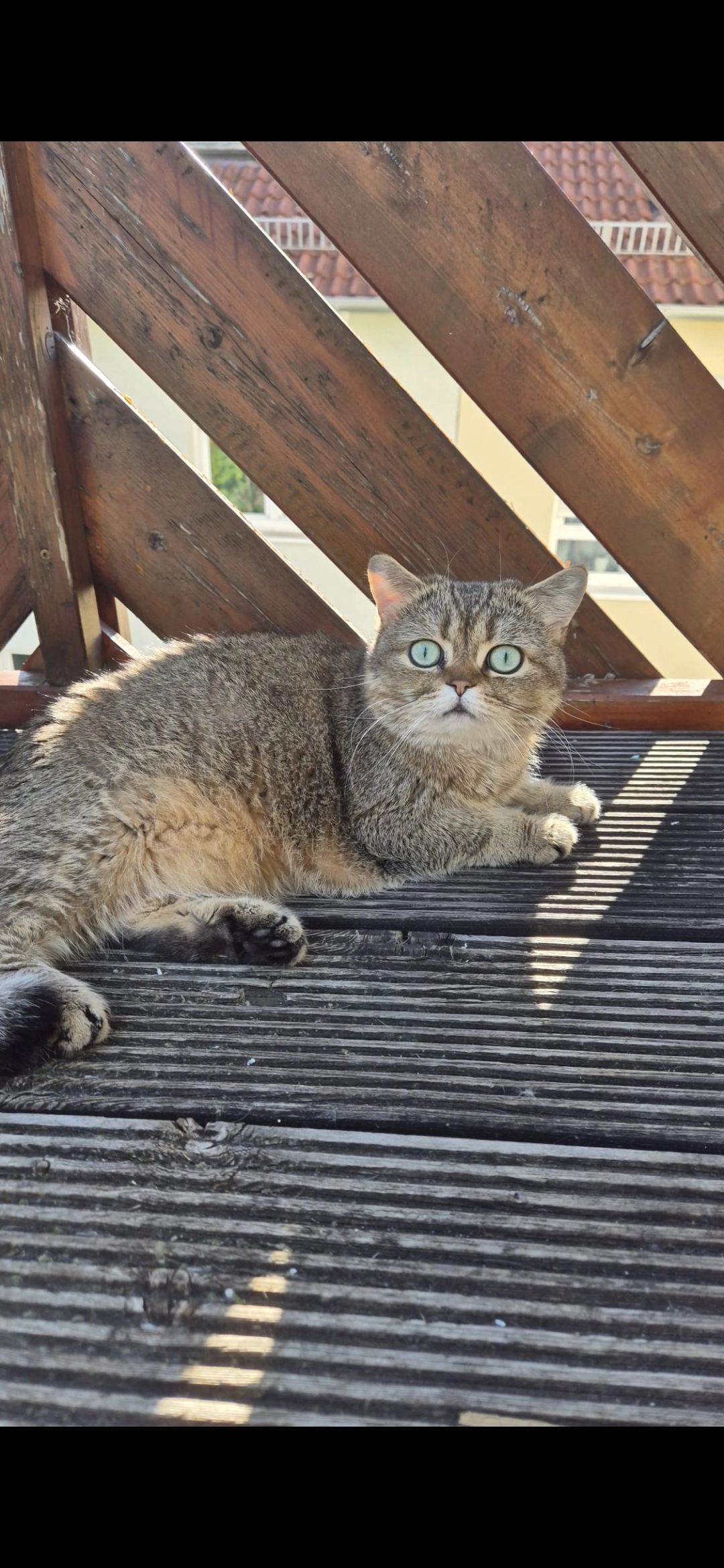 Naomi - Mesneramt, Gerlingen