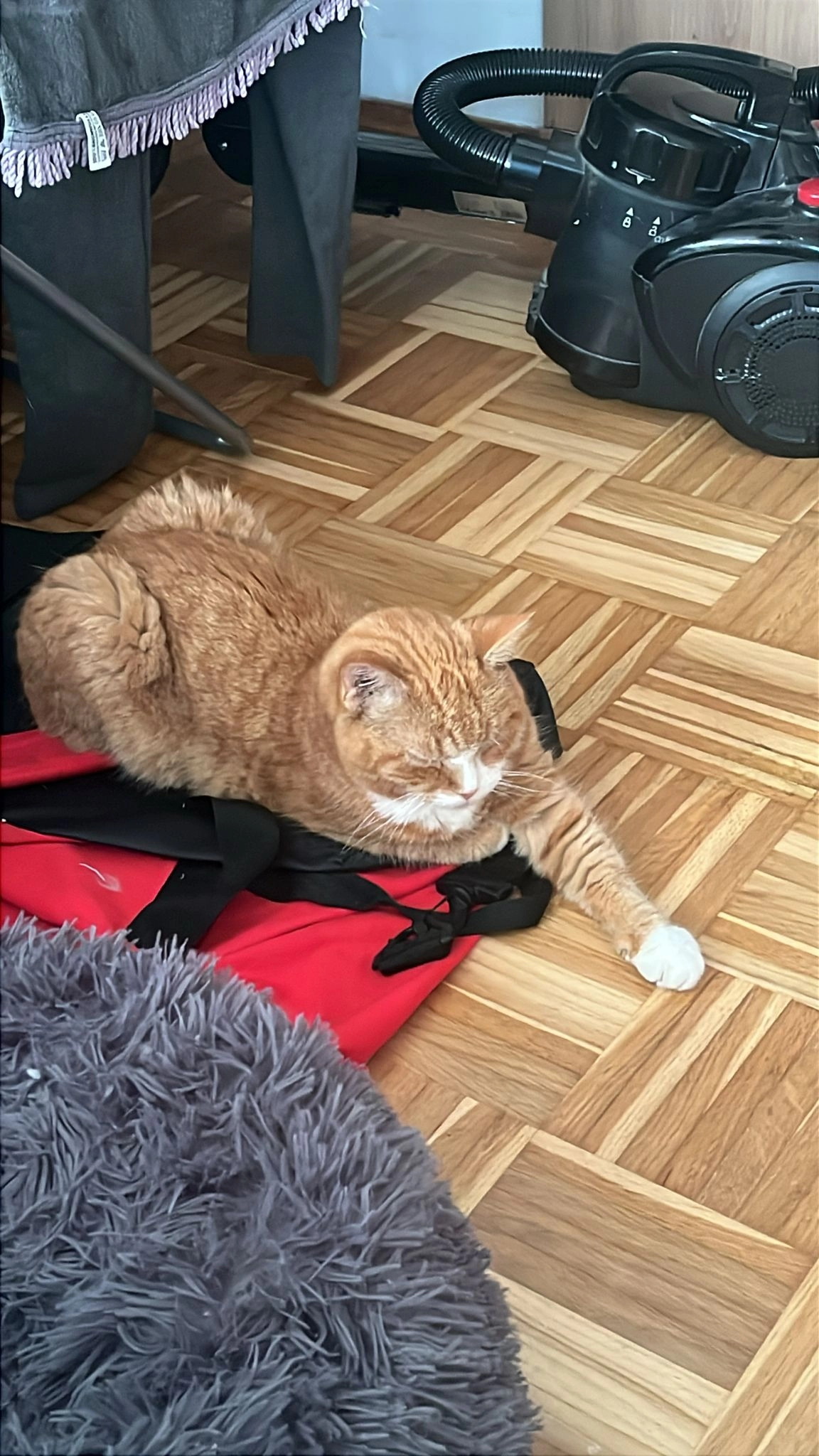 Tinkabell - Mergenthalerweg, Hamburg