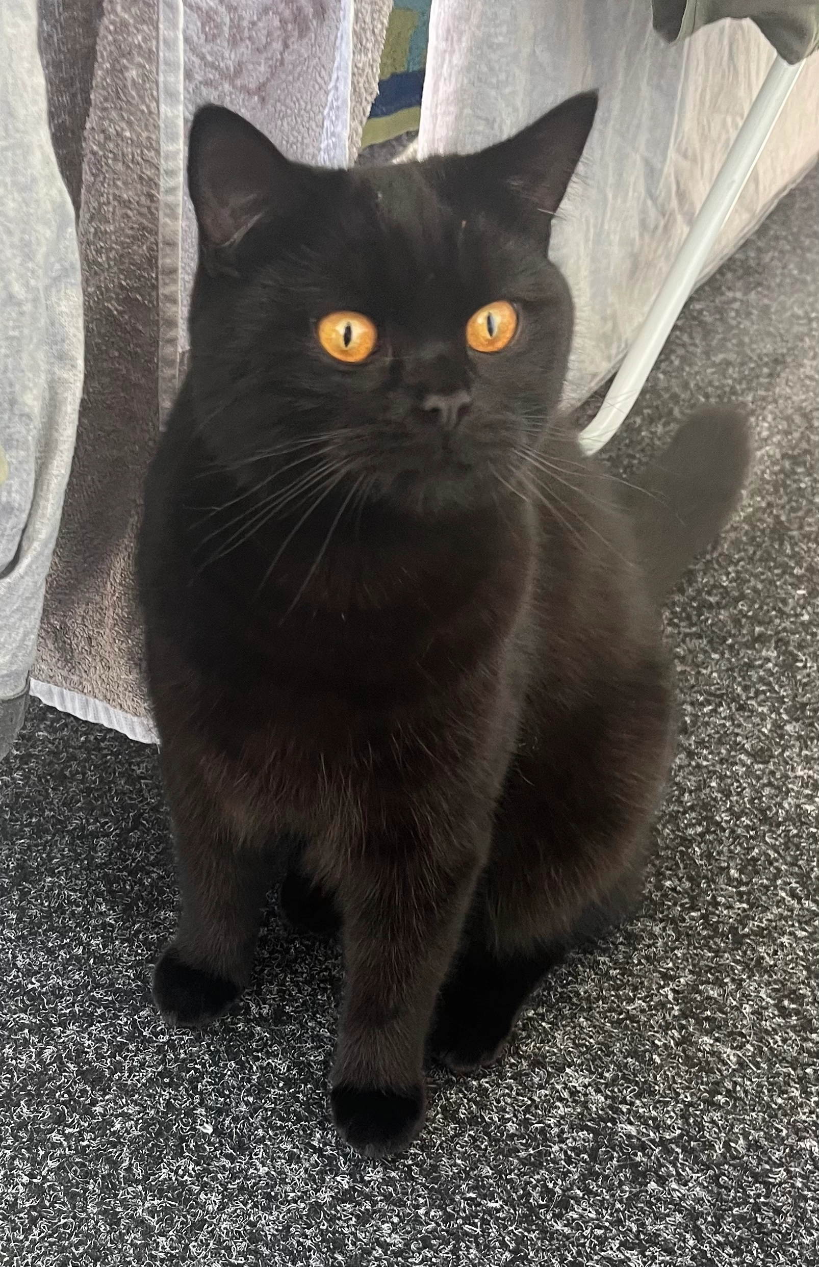 Taison - Hauptstraße, Wagenhoff