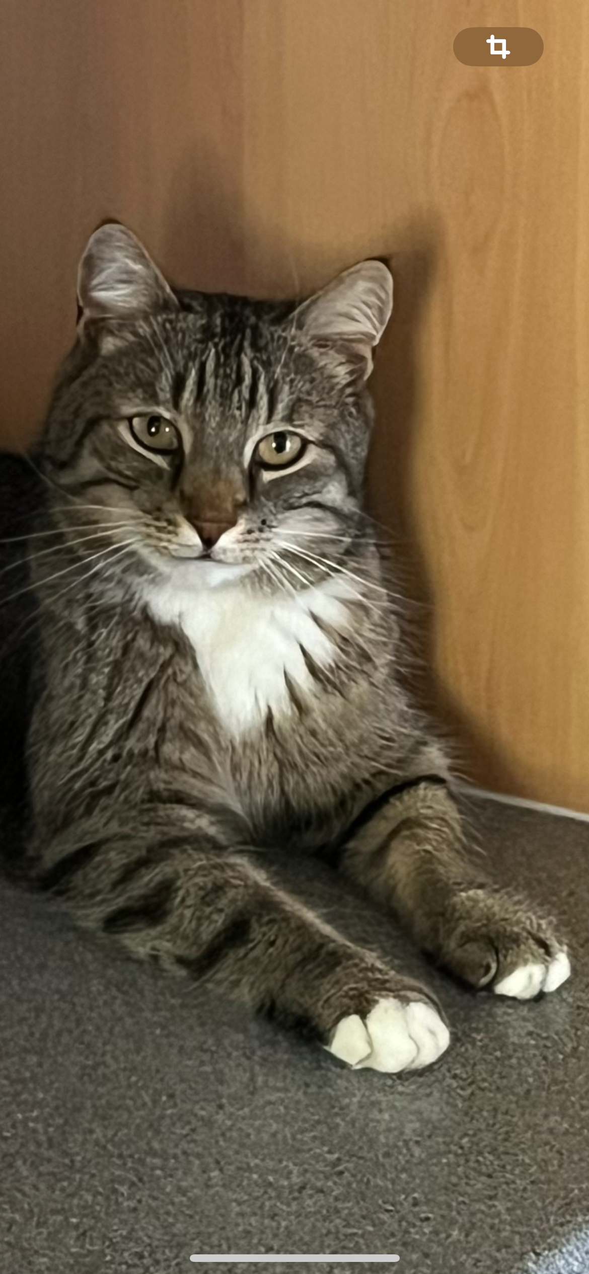 Milo  - Angerleweg, Obsteig