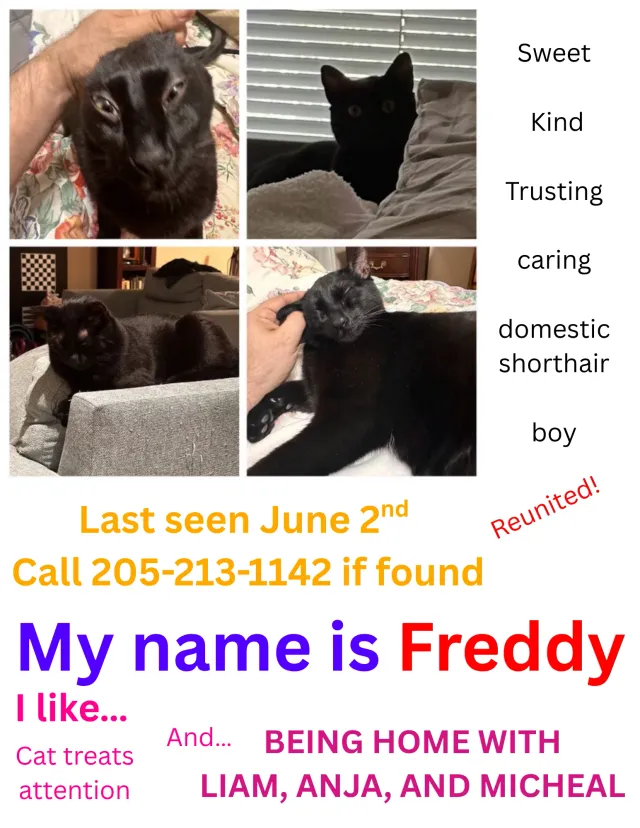 Freddy - 1584 Timber Ct, Helena