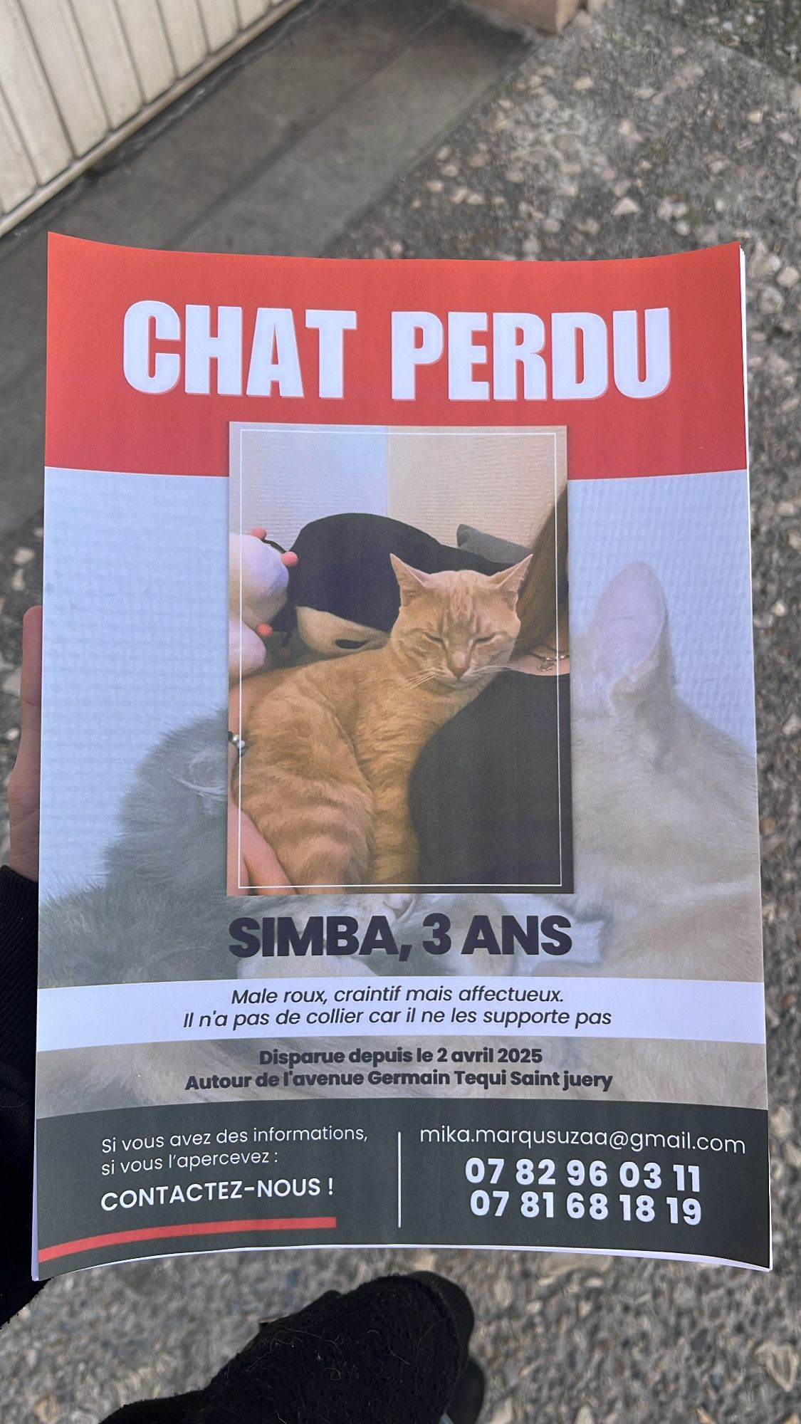 Simba - Avenue Germain Téqui, Saint-Juéry
