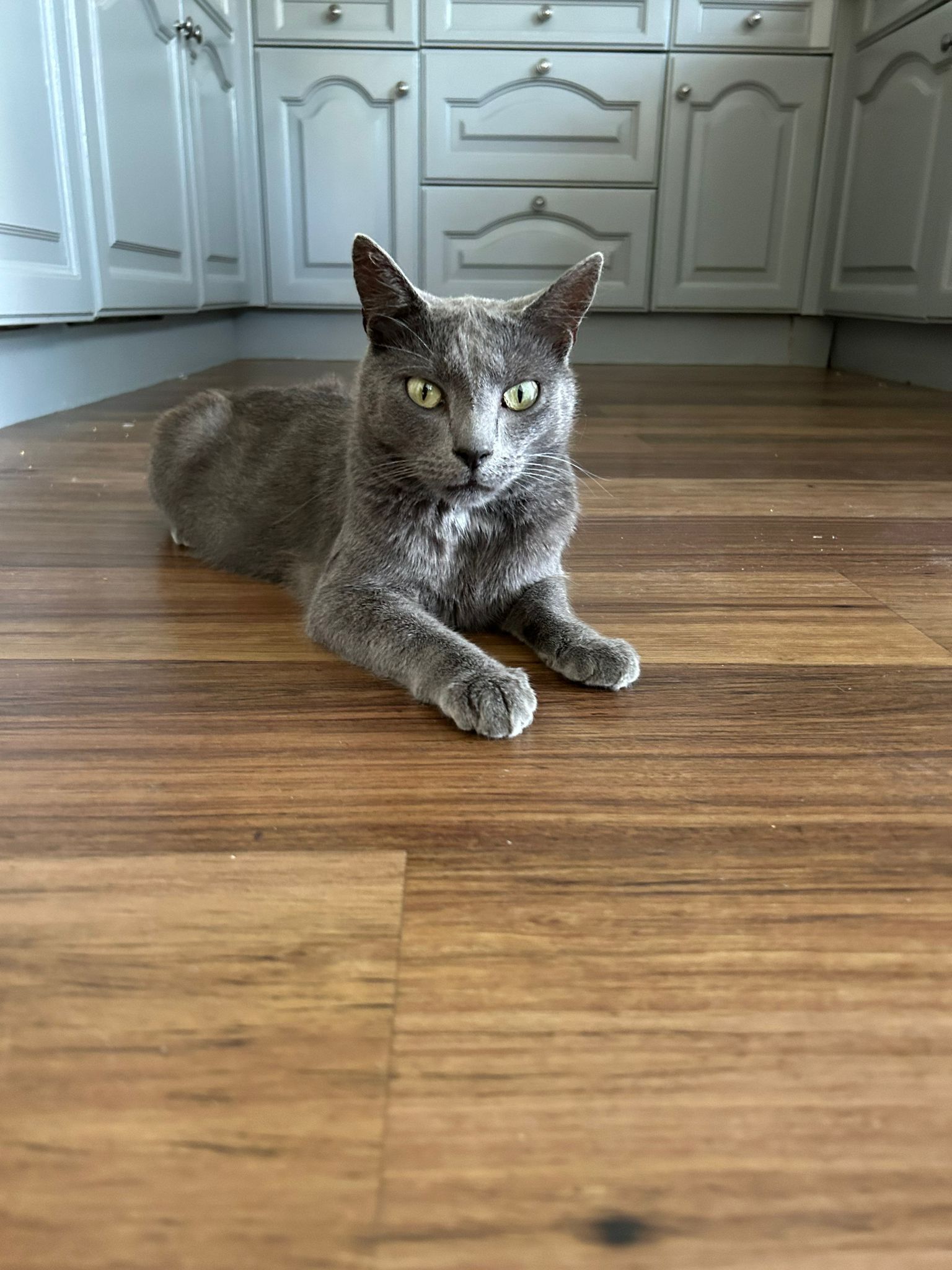 Ovie - Lynch Hill Park, Whitchurch