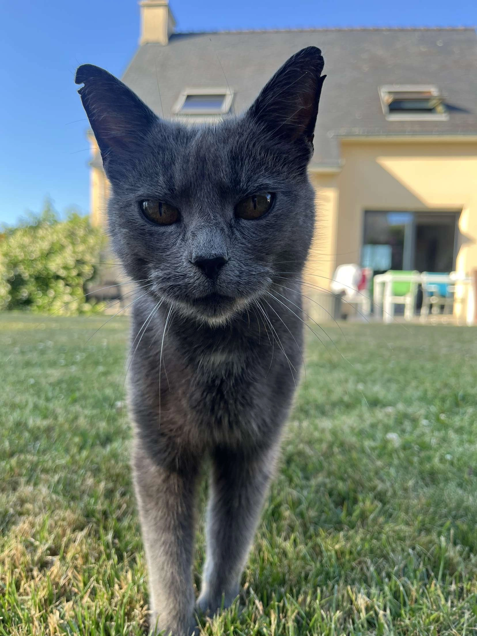 Cannelle - 4 Venelle de la Laïta, Concarneau