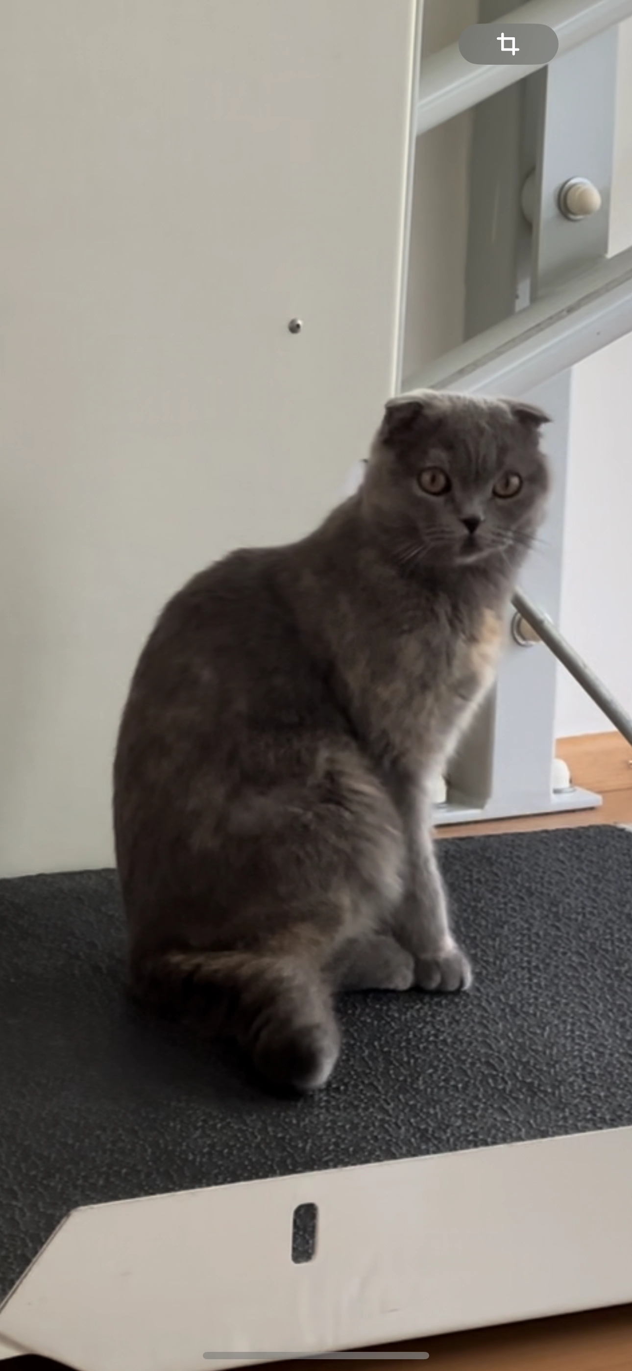 Umay - Amraser-See-Straße, Innsbruck