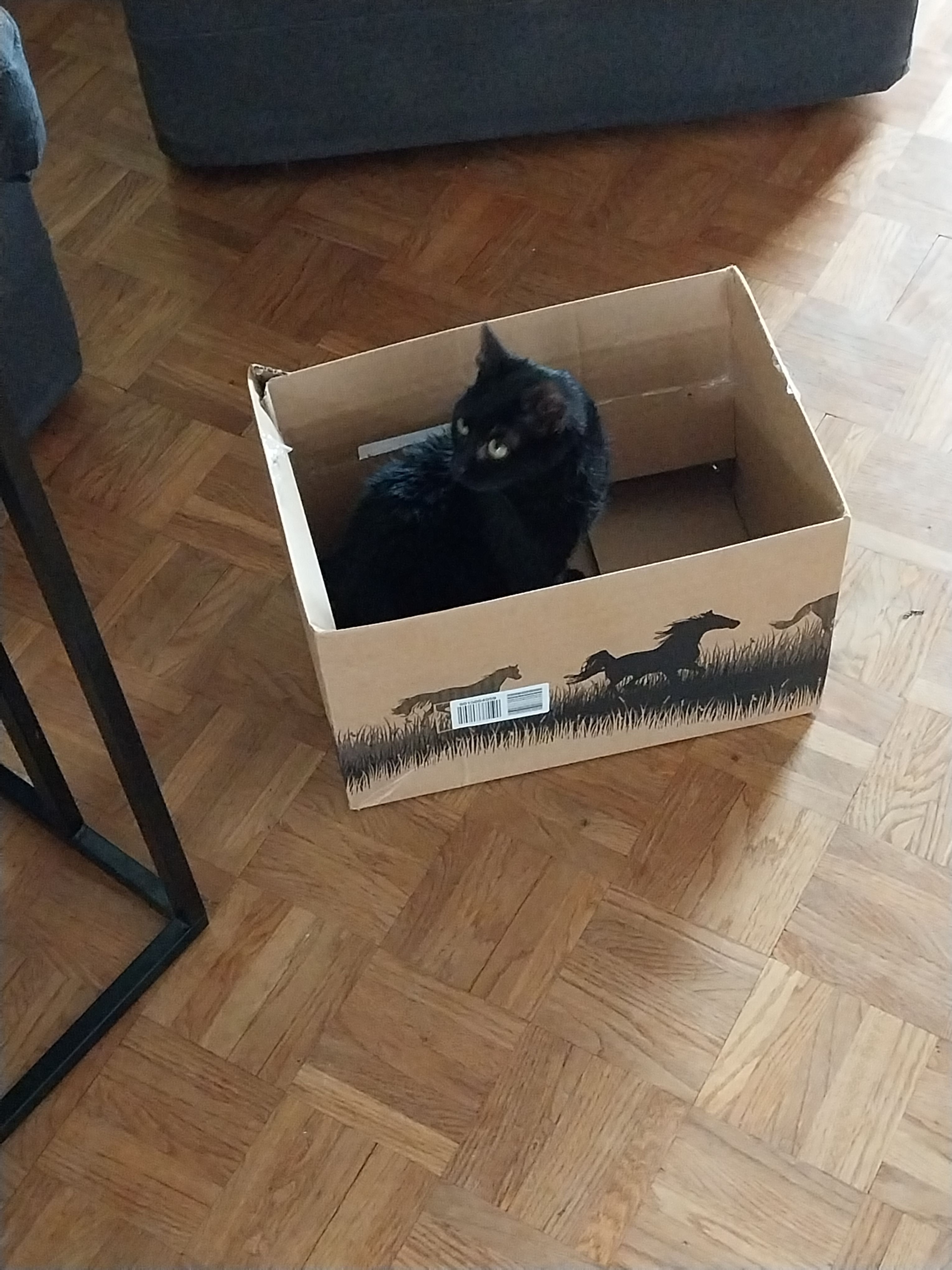 Lisl - In den Schliermatten, Staufen im Breisgau