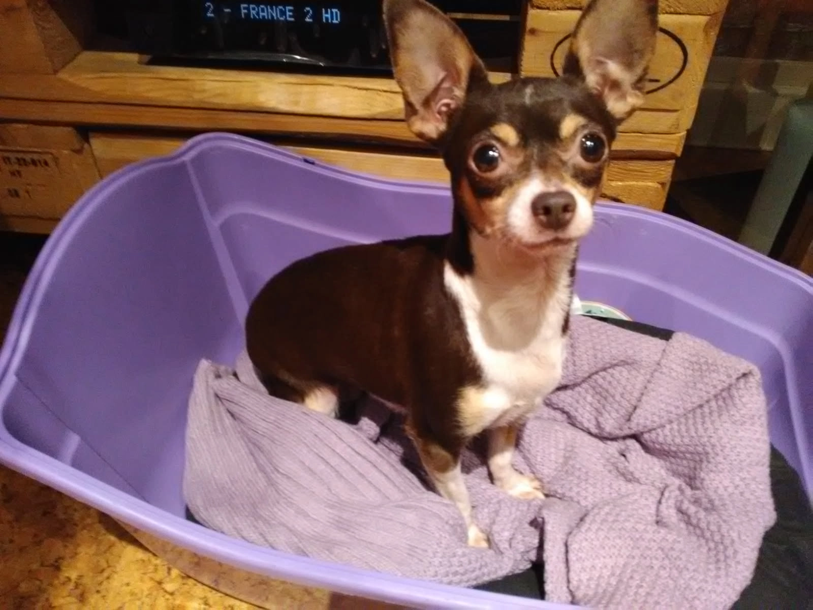 Darla - Place De L'île Jeanty, Dunkerque