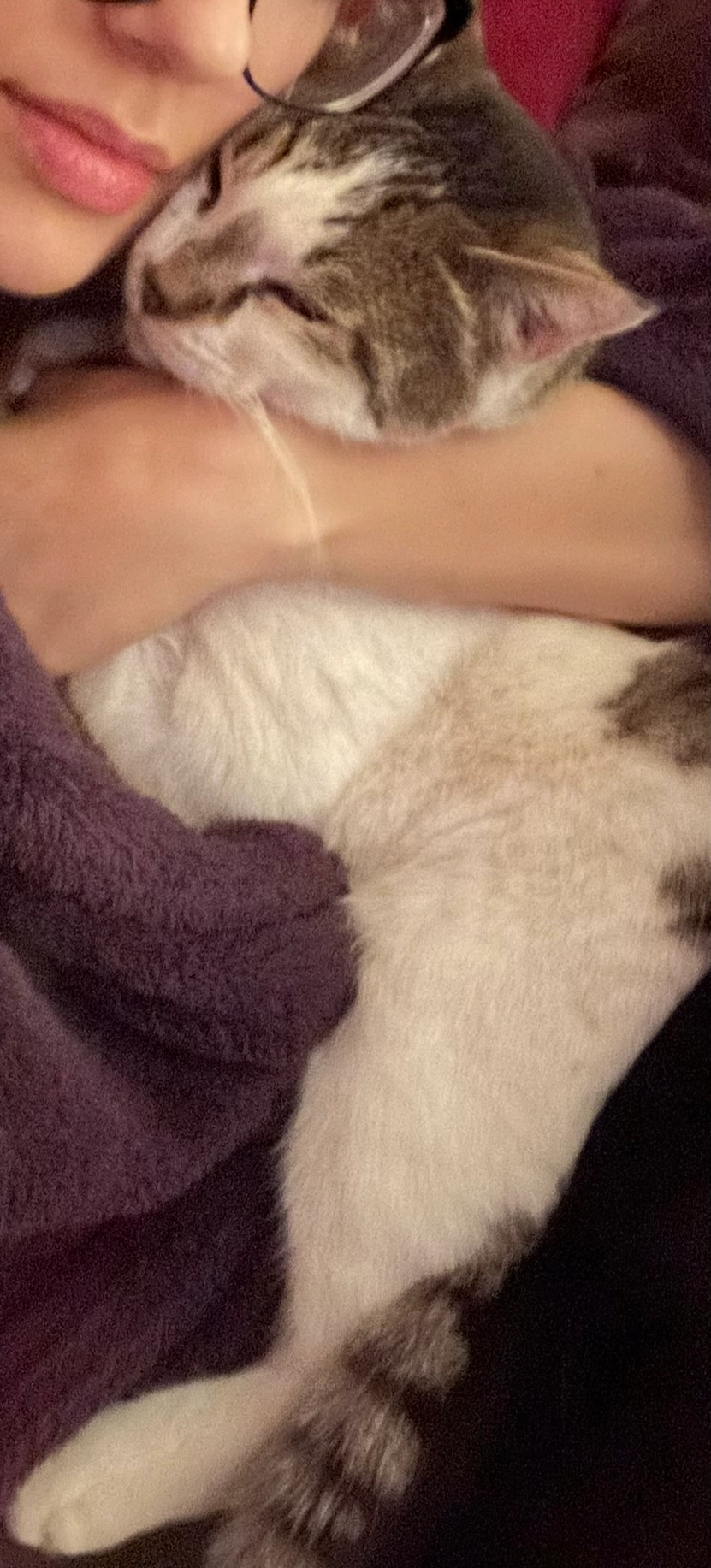 Jasper - Iridos 9, Voula