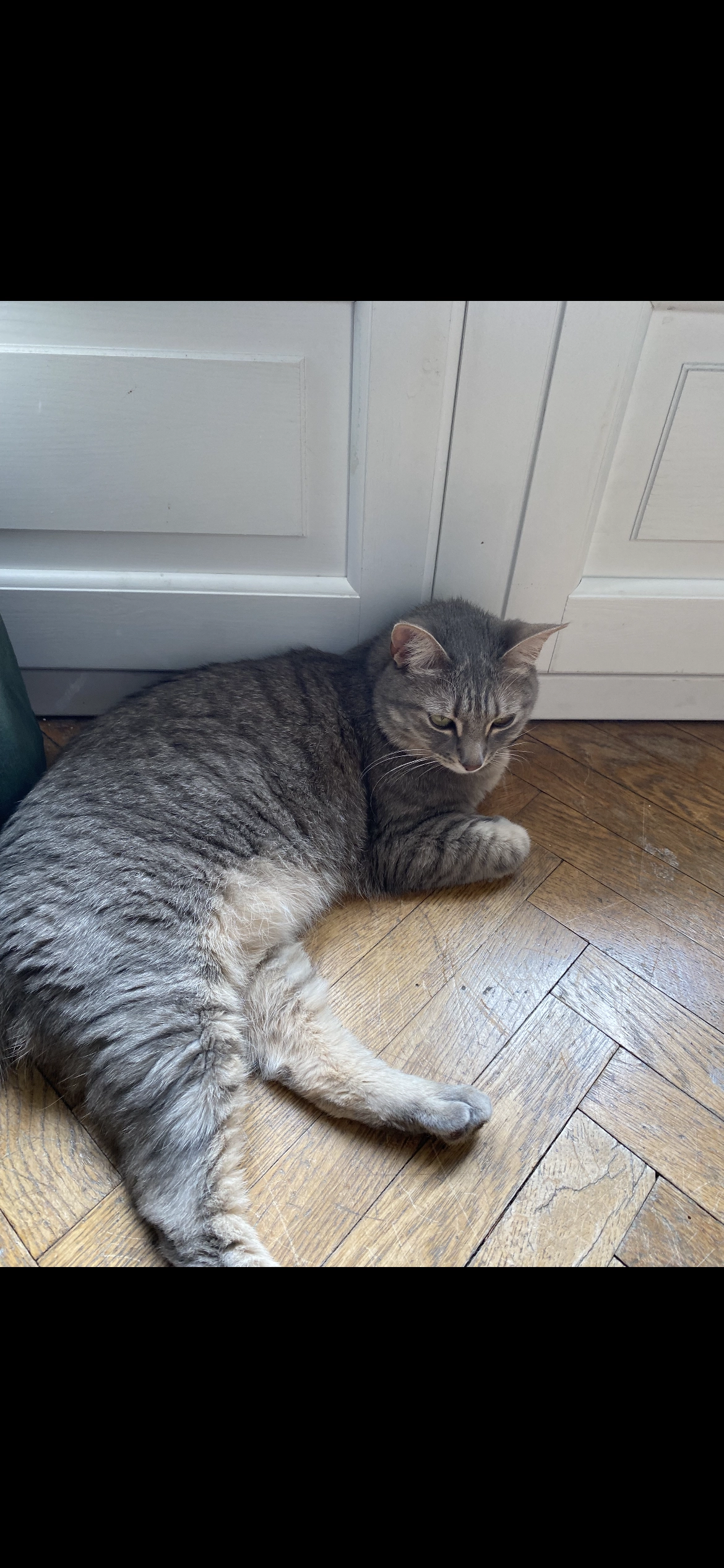 Pippa - 1 Rue des Grandes Bruyères, Montcenis