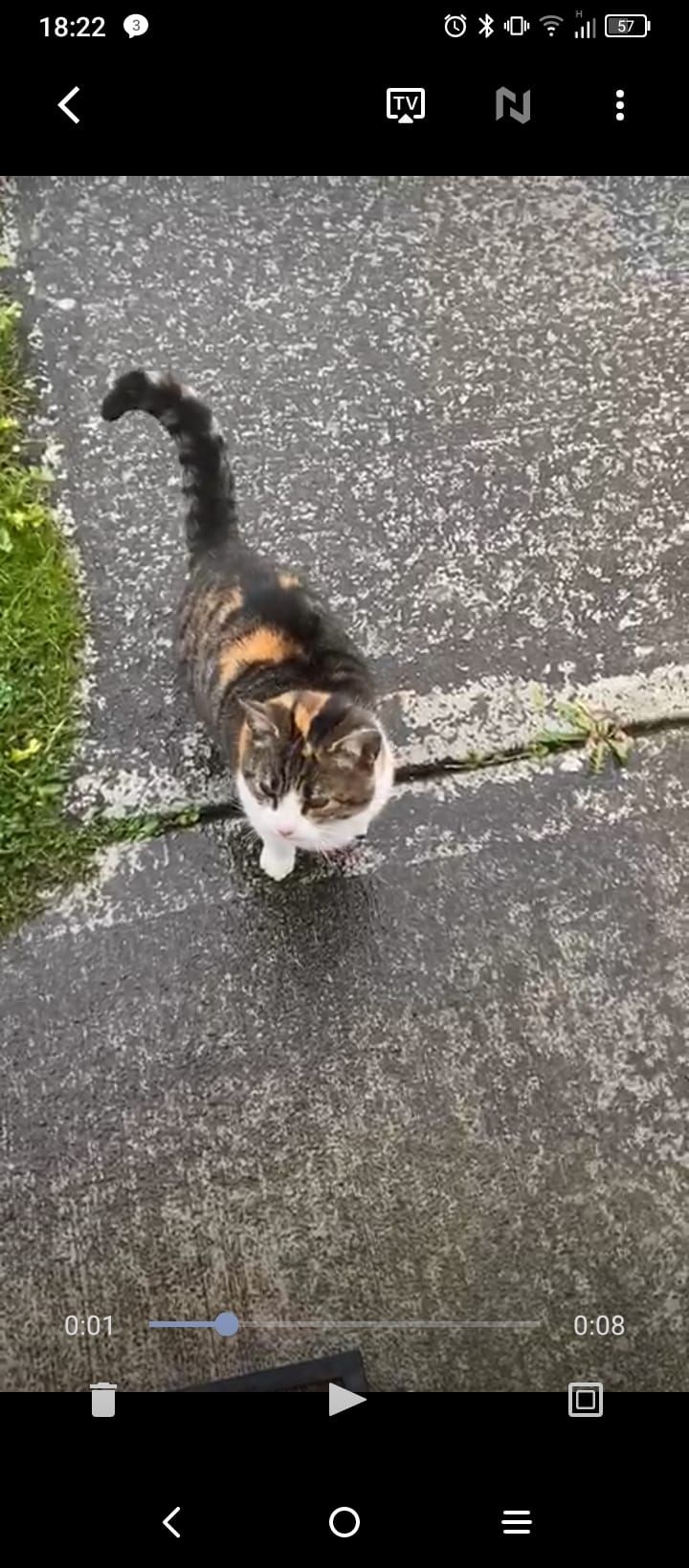 Tilly - F93, Burnfoot