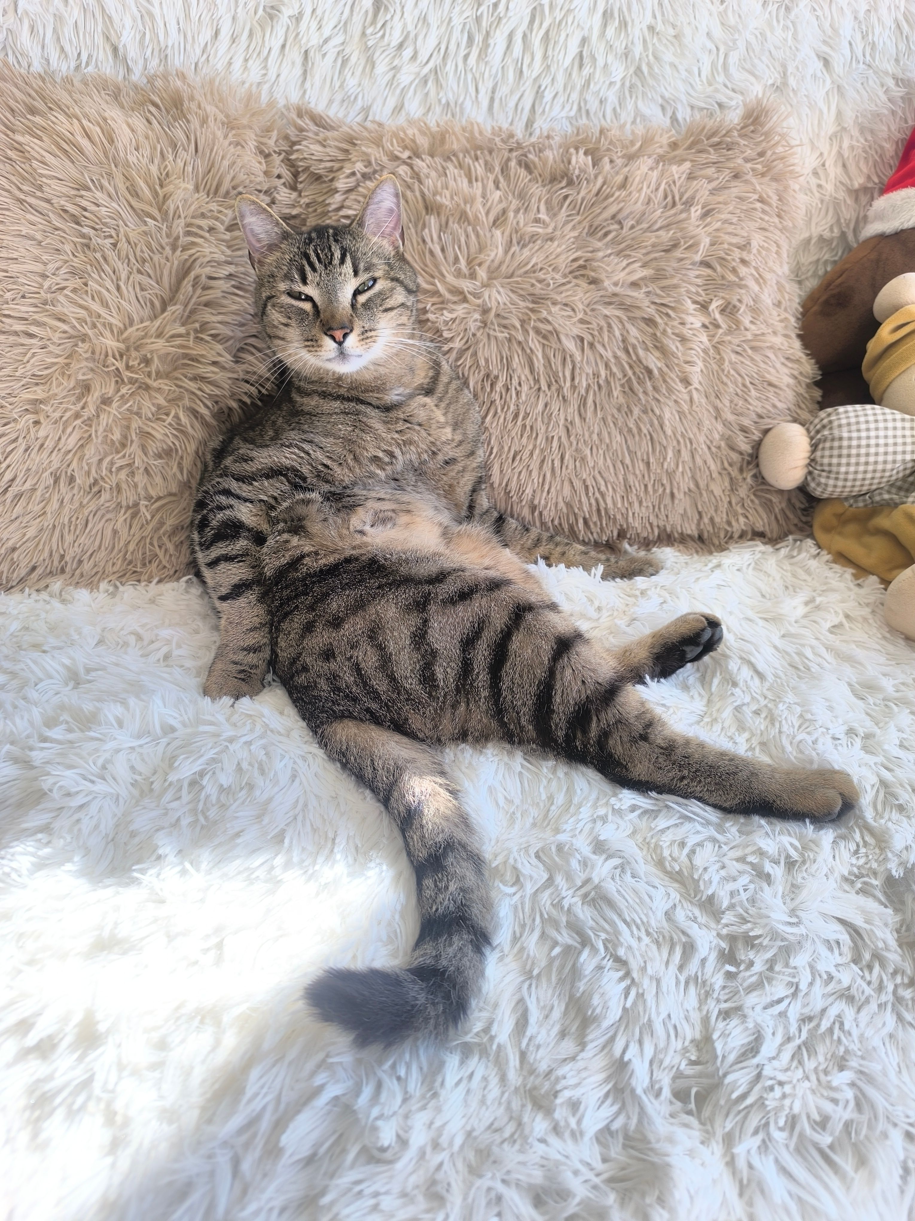 Rocket - Impasse du Château, Glisolles