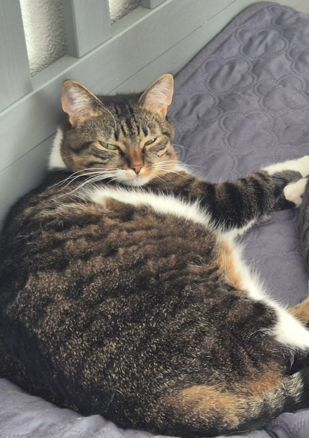 Bounty - Hauptstrasse 118, Ringgenberg