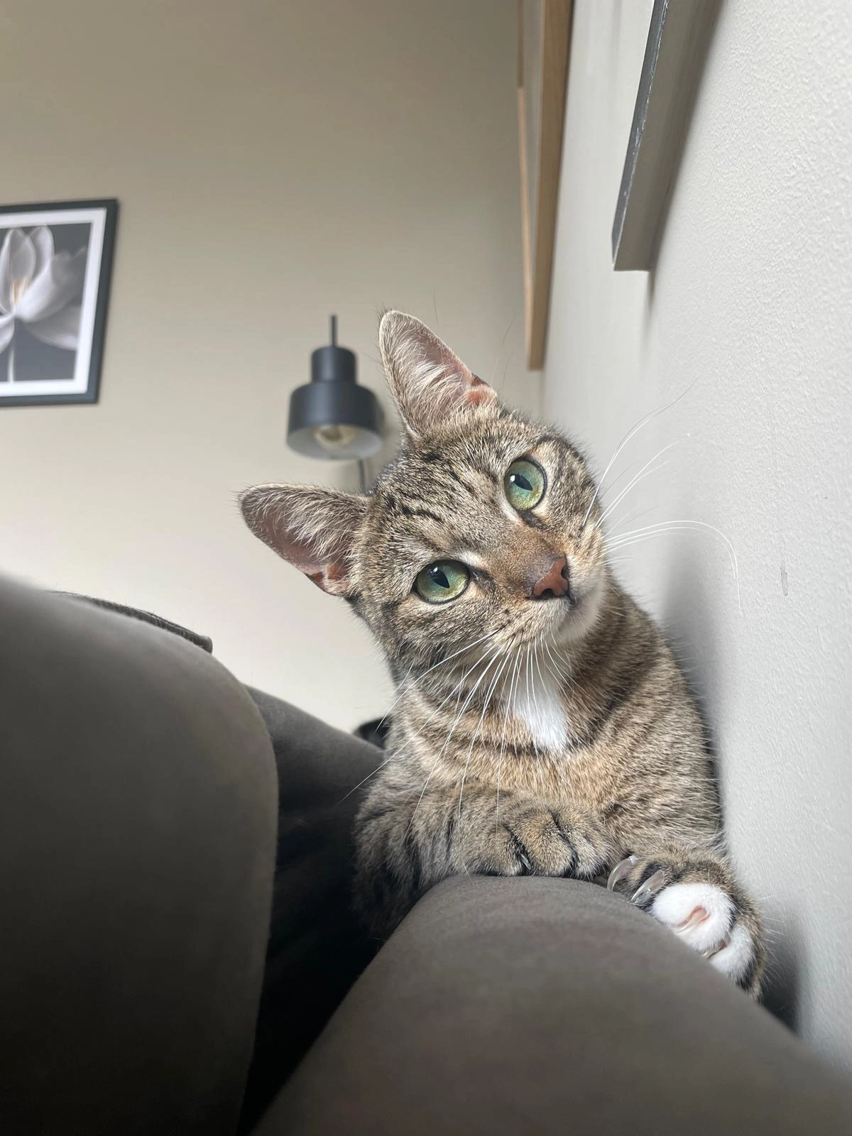 Pam (pem) - Rondostraat, Hellevoetsluis