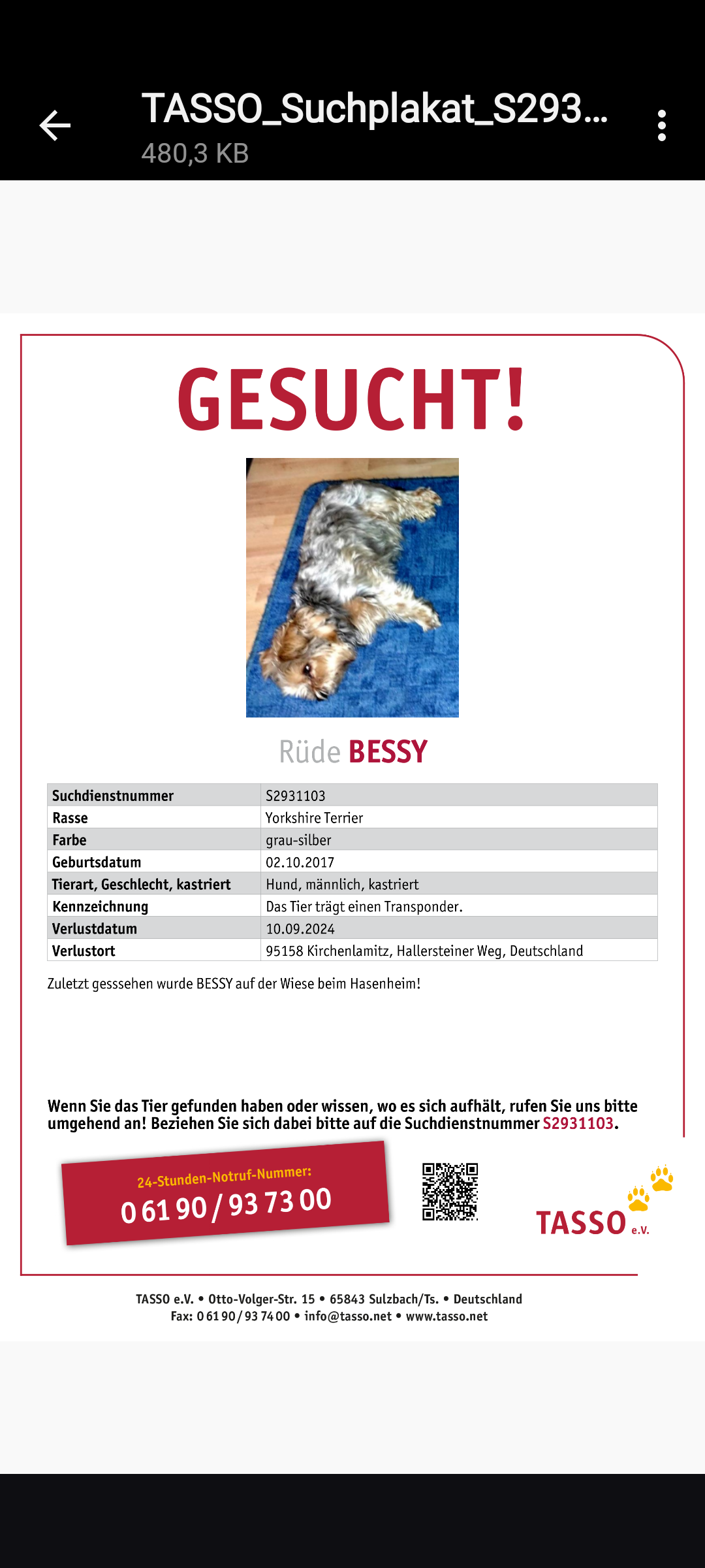 Bessy - Hallersteiner Weg, Kirchenlamitz