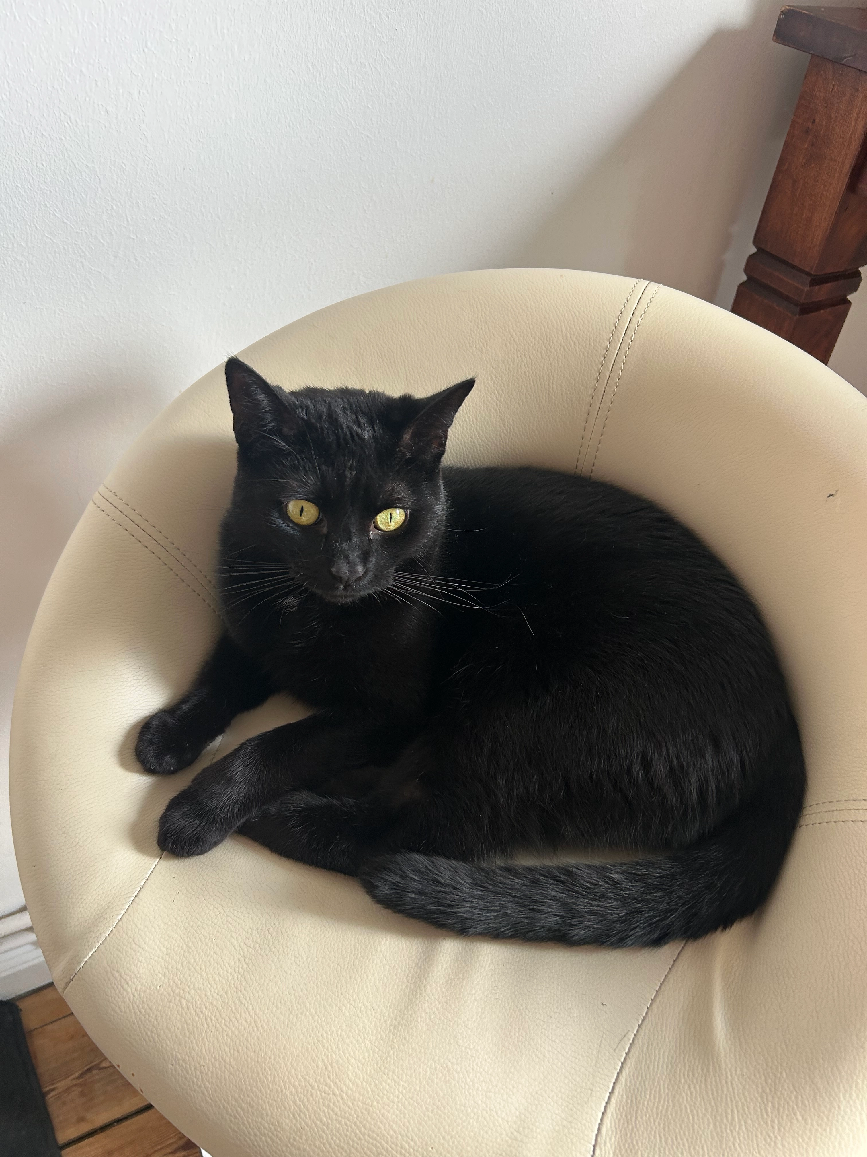 Mausi - Werderstraße 14, Lübeck