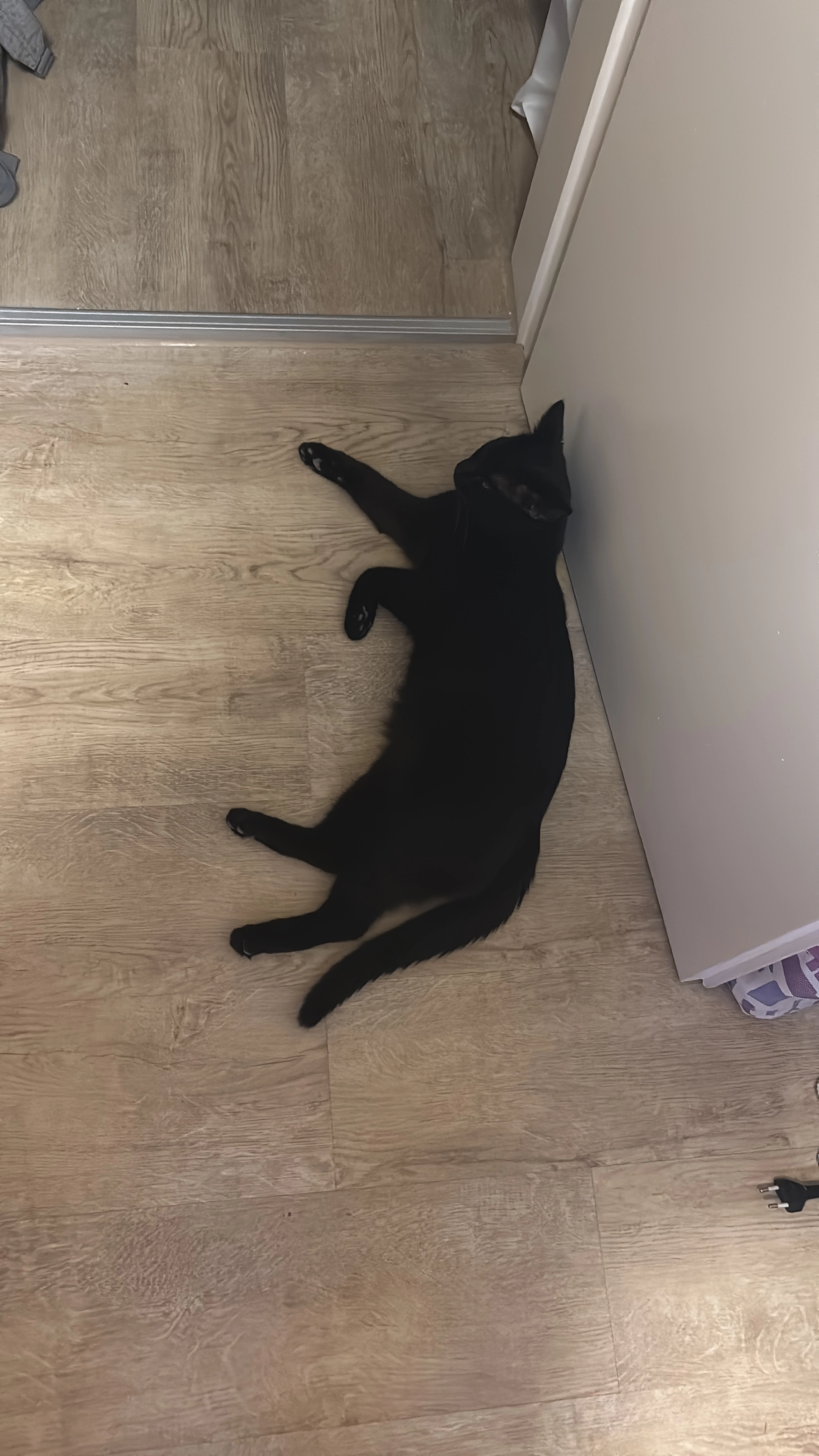 Lucifer - Schwindstraße, Amberg