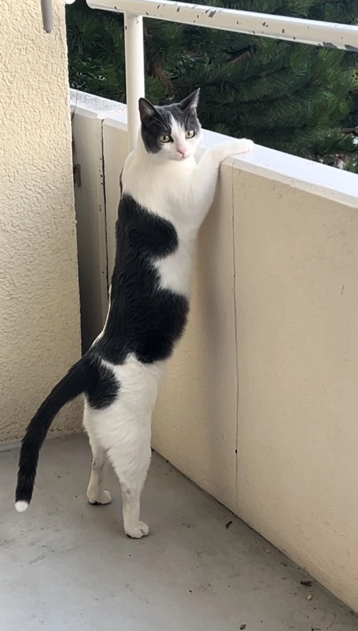 briciolino - Bergellerstrasse, Zürich