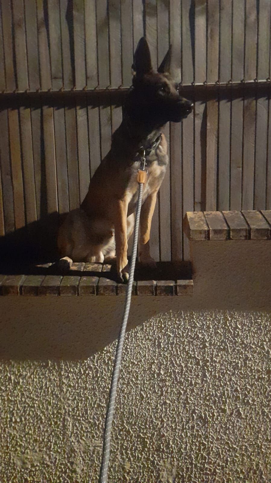 Ulysse - Route d'Ahuy, Dijon