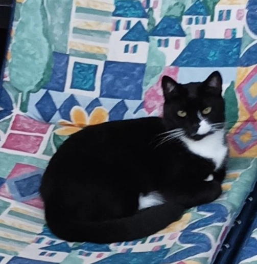 Carlo  - Schäferberg 19, Frankfurt