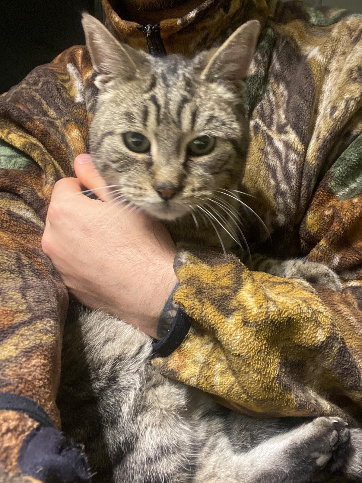 Singua - 66 Levée de Saint-Jean-de-la-Croix, Les Ponts-de-Cé