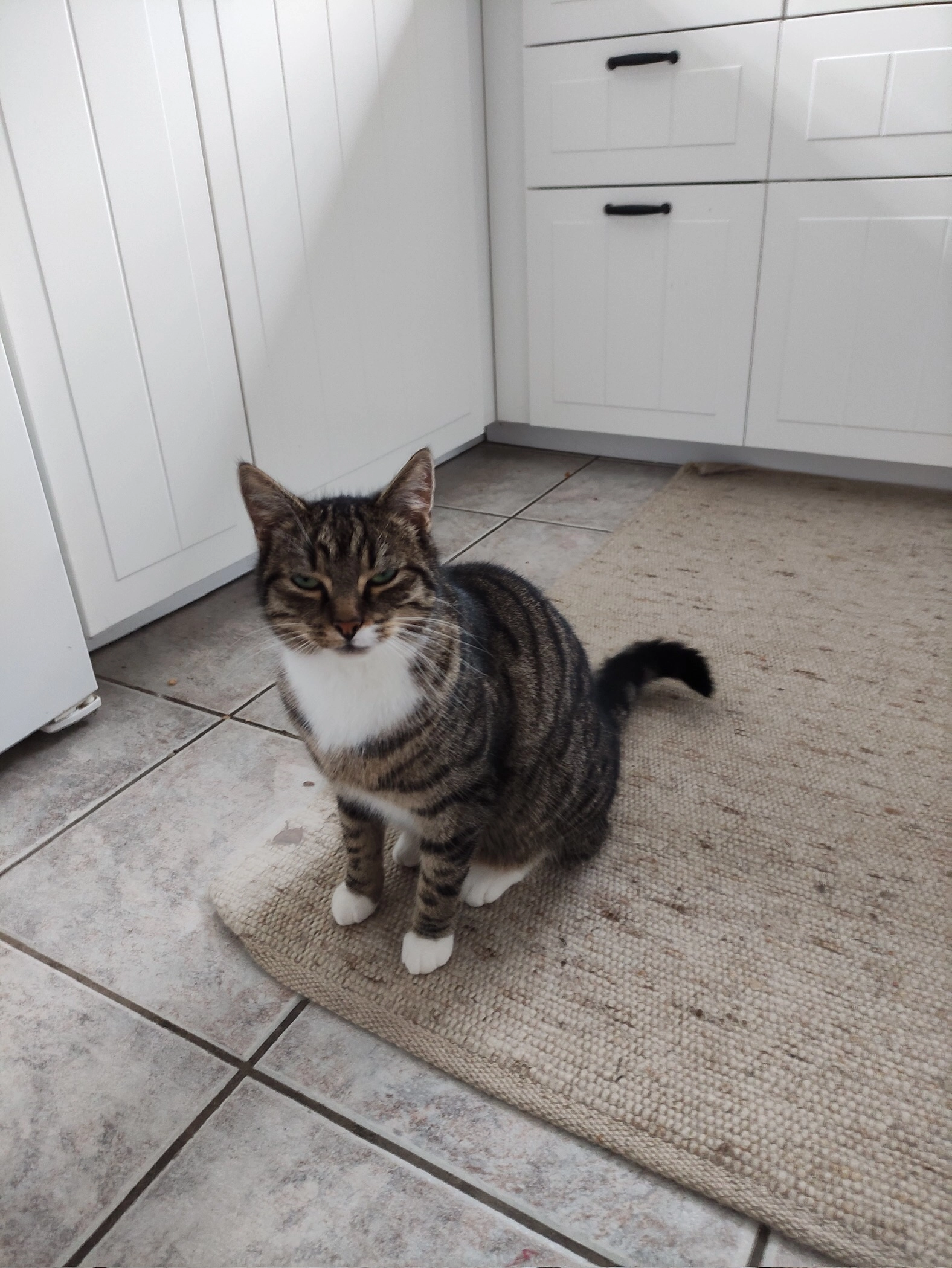 Teddy - Gartenstraße, Waldstetten