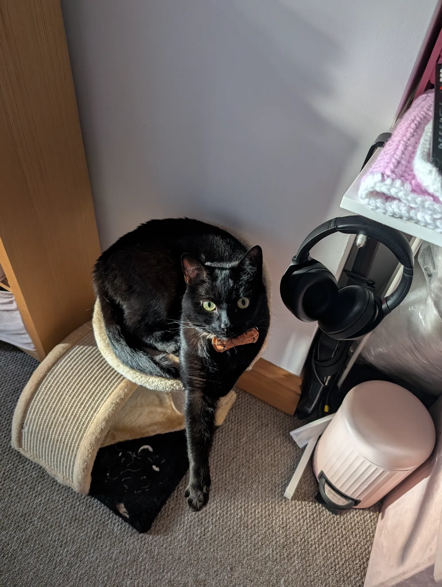 Pudding - Gainsford Road, Southampton