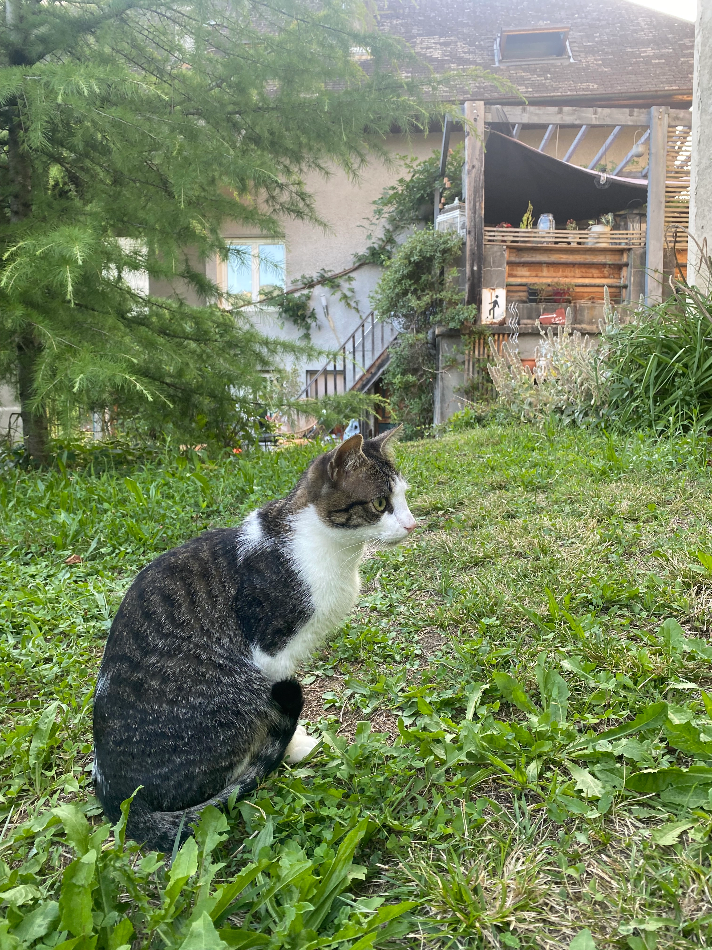 sno - Impasse des Thermes, Saint-Jean-d'Arvey