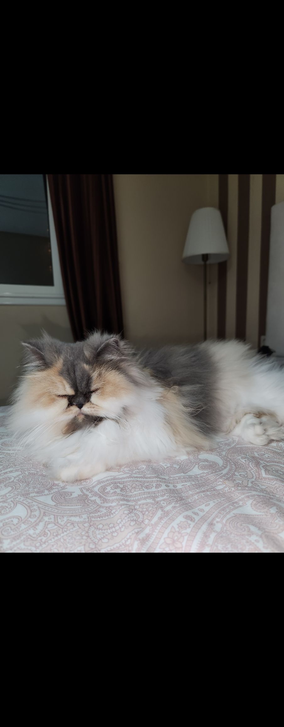 Lily - 24, El Jadida