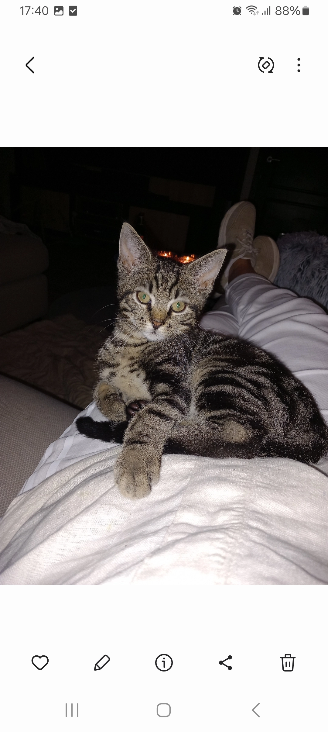 Milo - Prins Bernhardlaan, Middelharnis