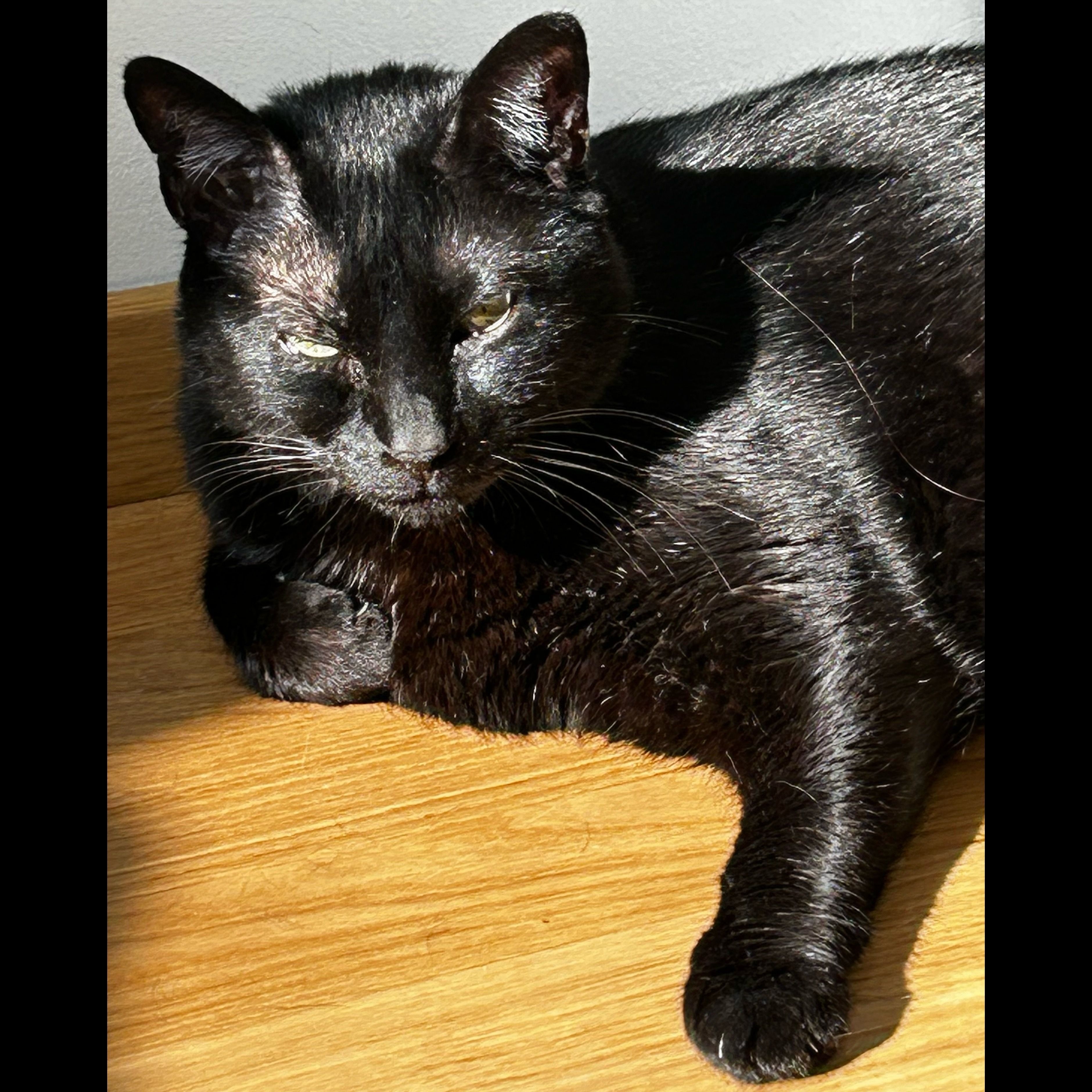 Xico - 2 Rue du Luminar, Longlaville