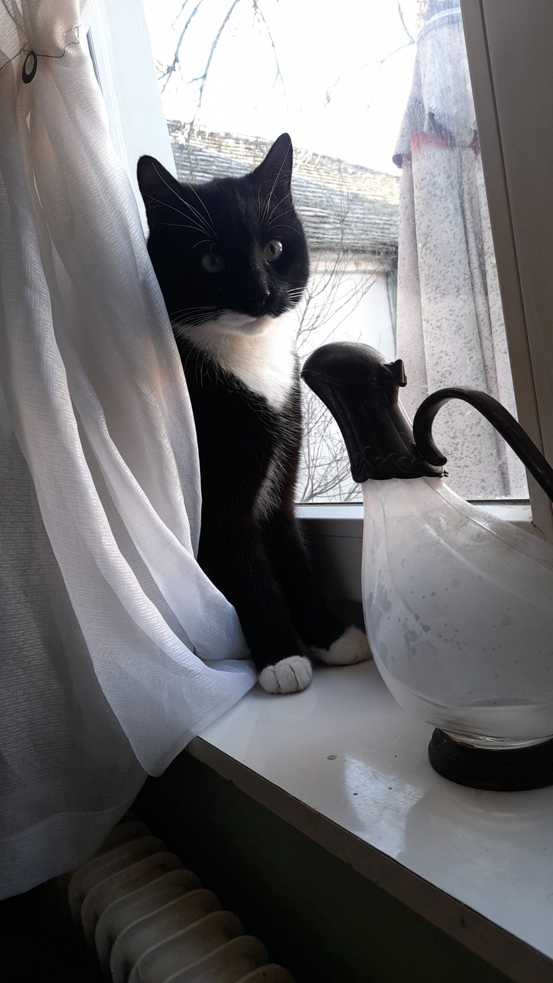 Filu - Hauptstraße, Haugsdorf