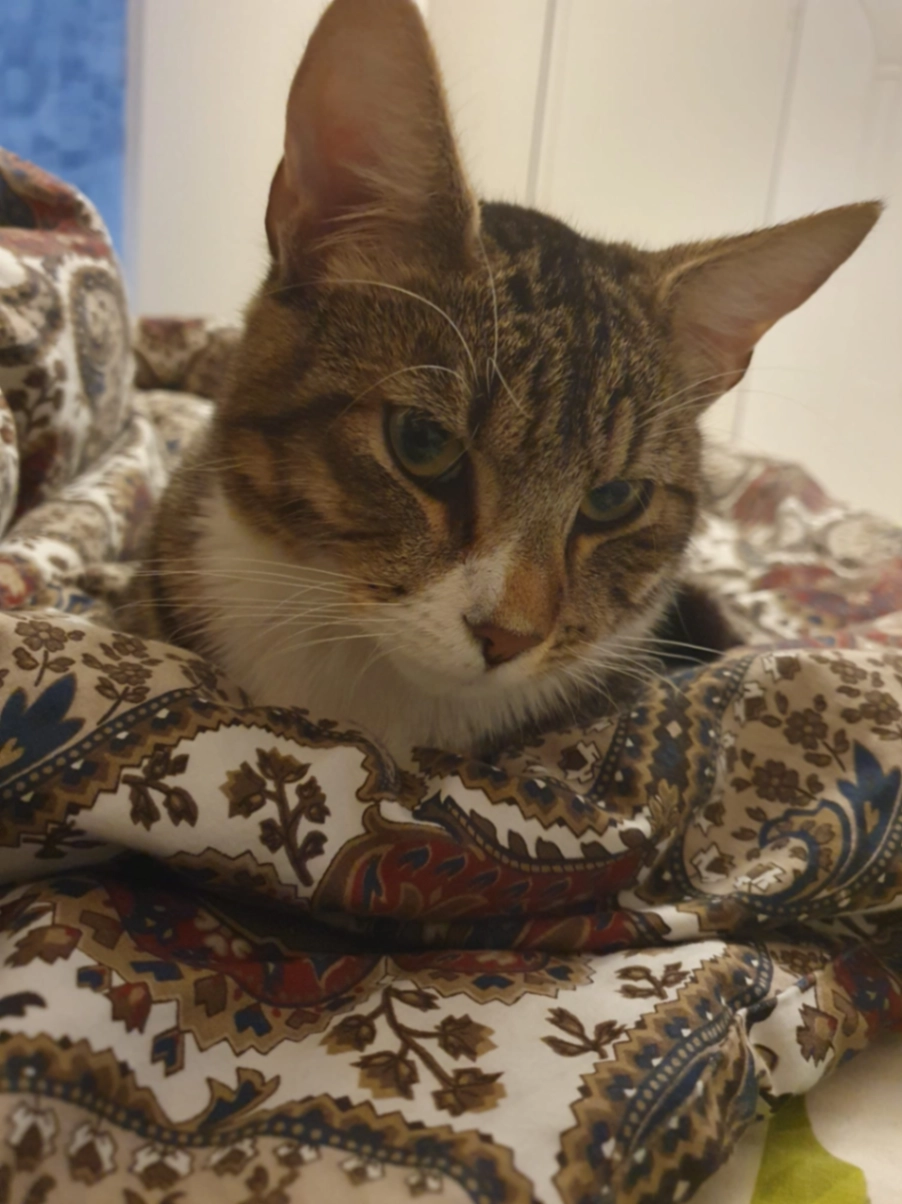 Almas - Gruvlyckevägen, Karlstad