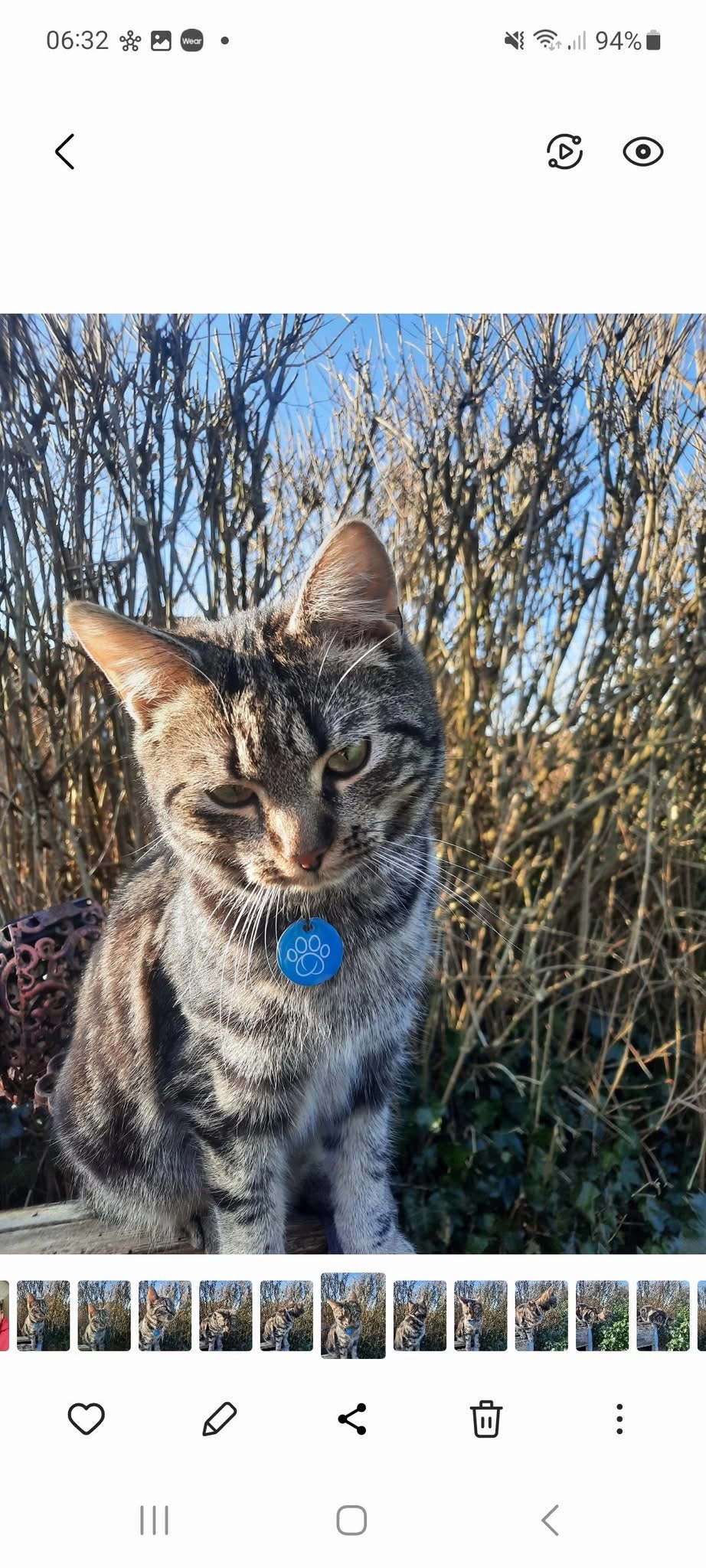 Findus - Helgenstraße, Papenburg