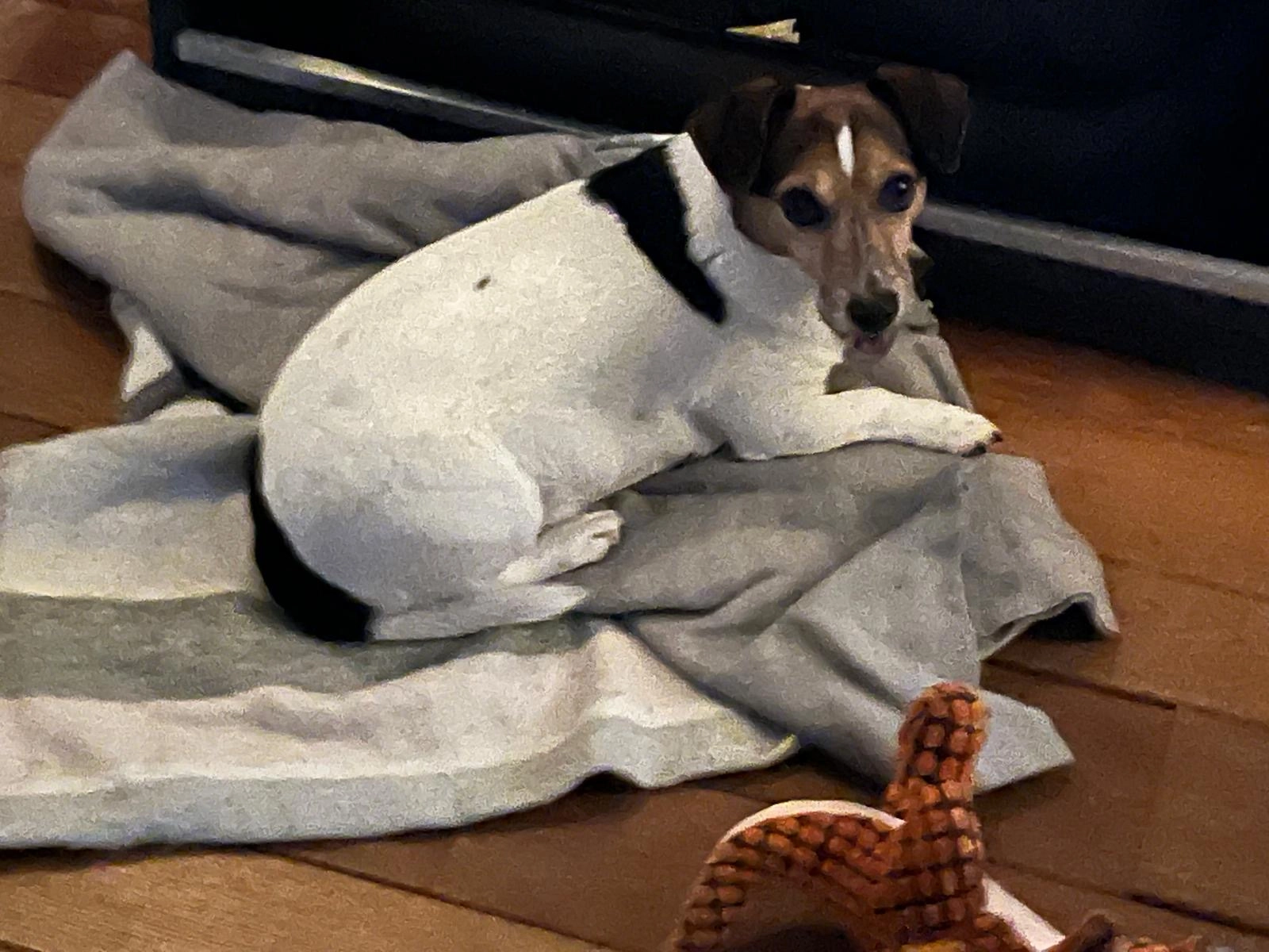 Jacky - Antillenstraat, Doetinchem