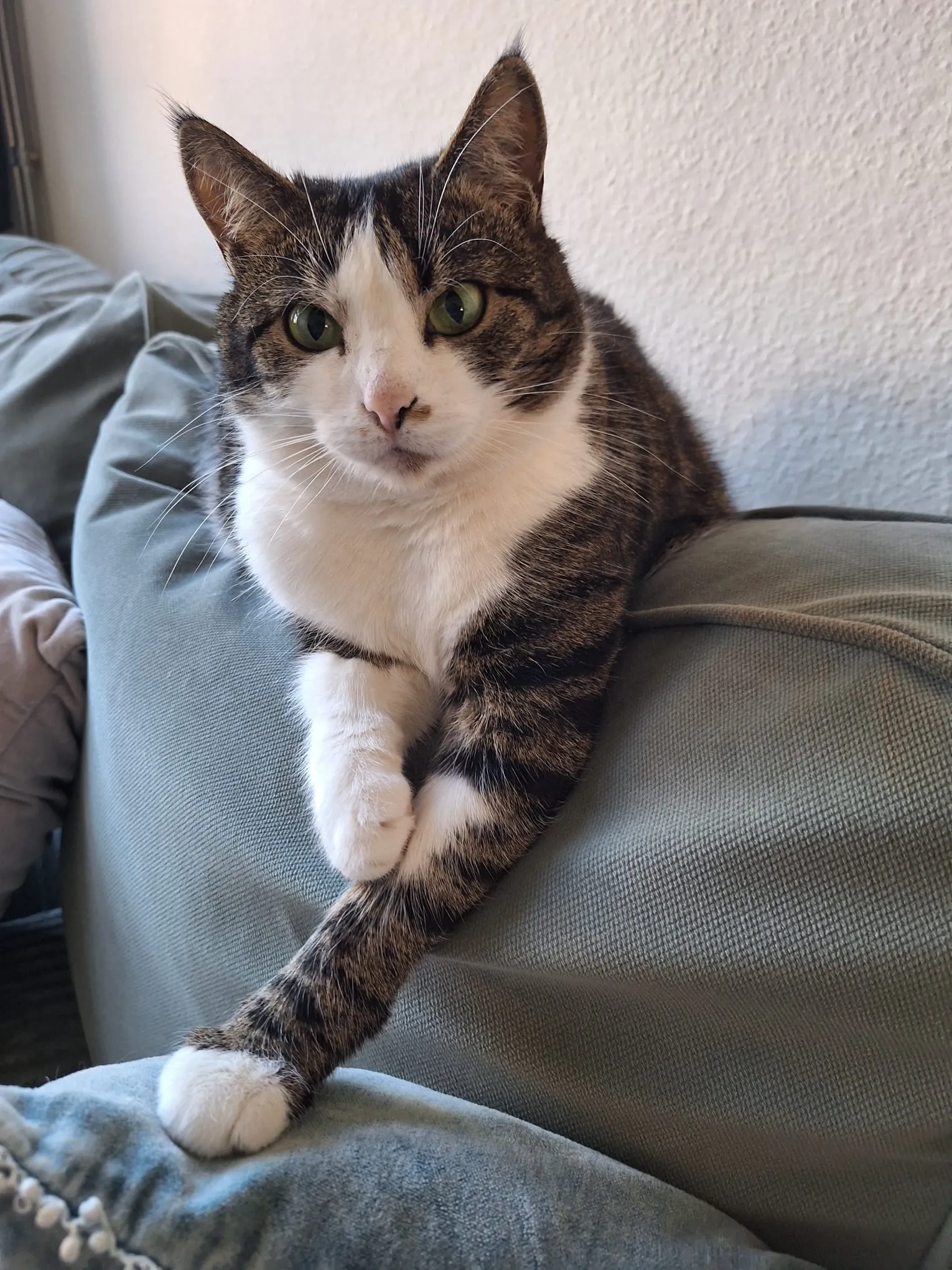 Mira - Lievekaai, Gent