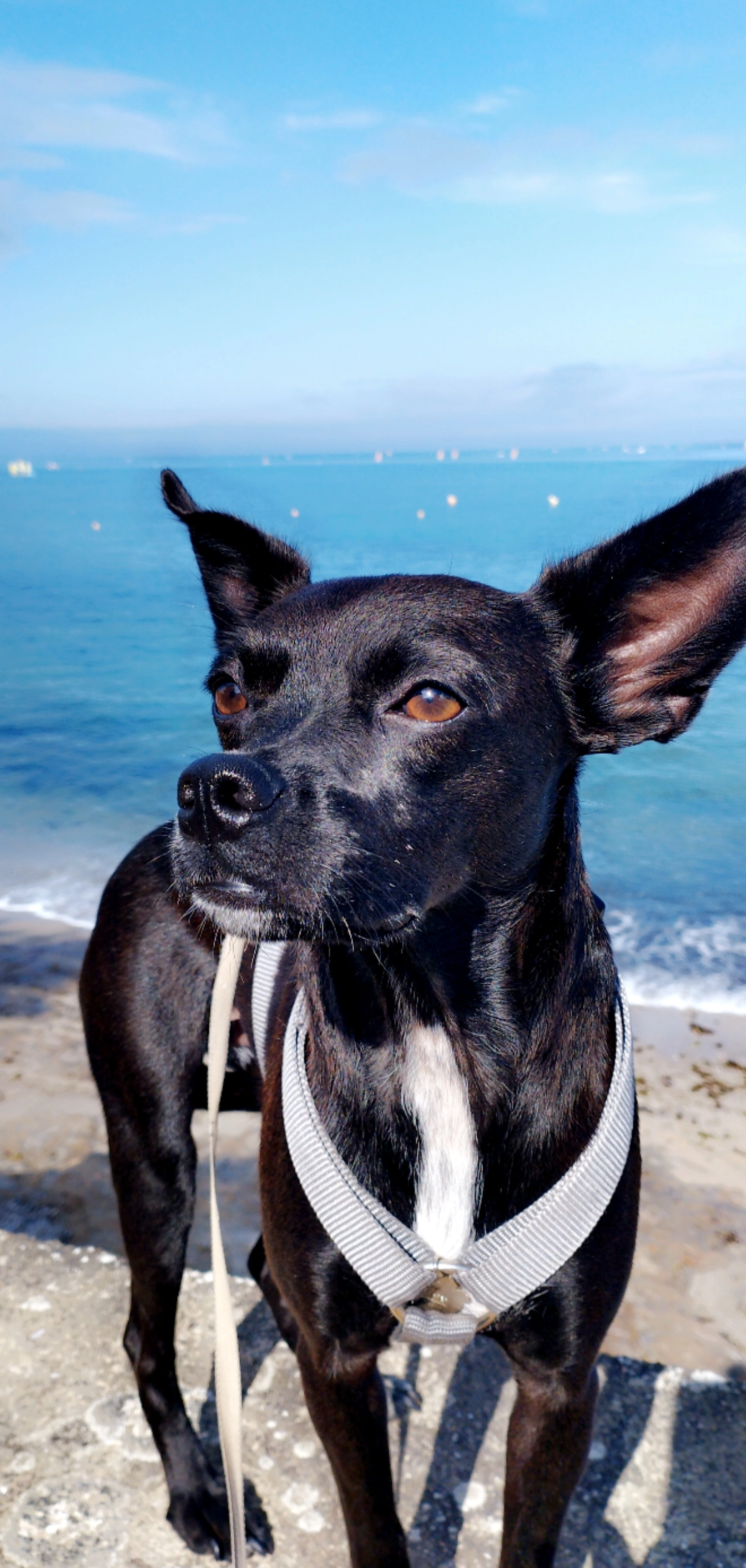 helya - 6B Rue des Viviers, Sainte-Colombe-la-Commanderie