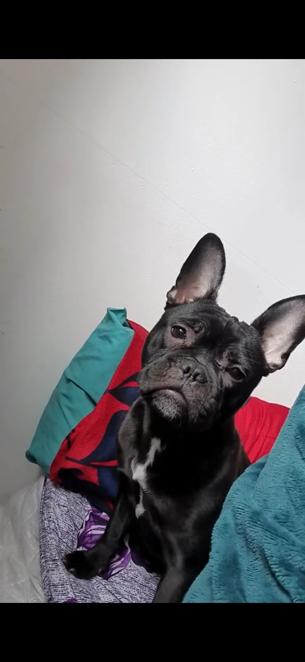 Fyfy - Heap Street, Oldham